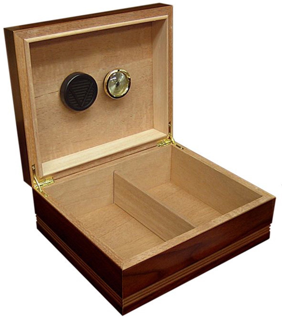 CFGS,Cienfuegos Humidor Puro Kutusu