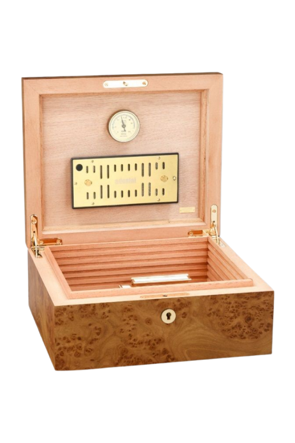 TR10019,Adorini Elm Burl Grande Sedir Humidor Puro Kutusu