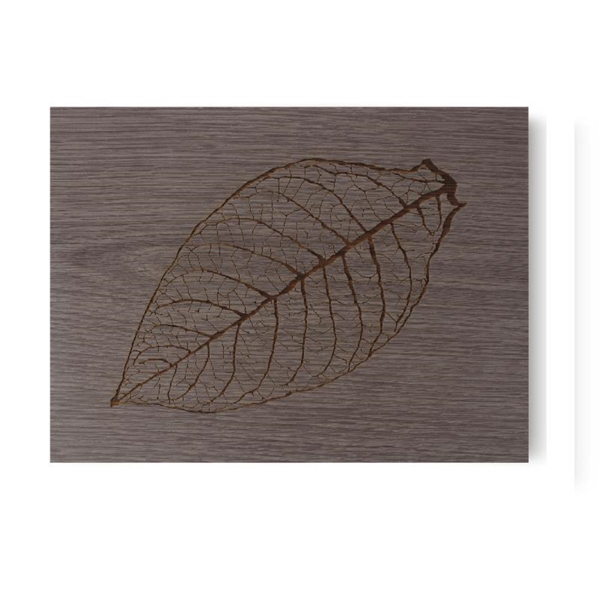 TR2682,Zino Davidoff Z60 Leaf Gri Oak Humidor Puro Kutusu 112387