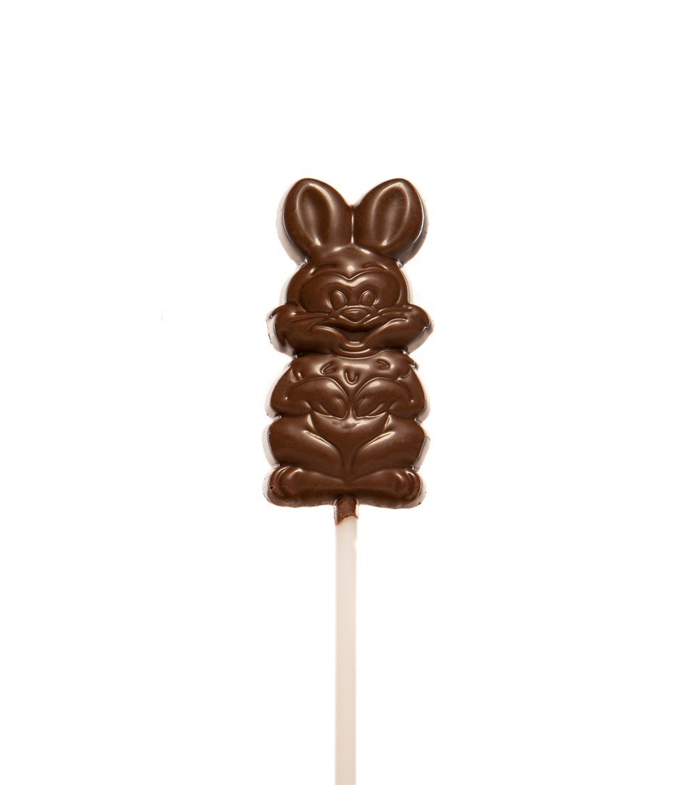 Mayalı Hane Glutensiz Choco Kids 12 gr