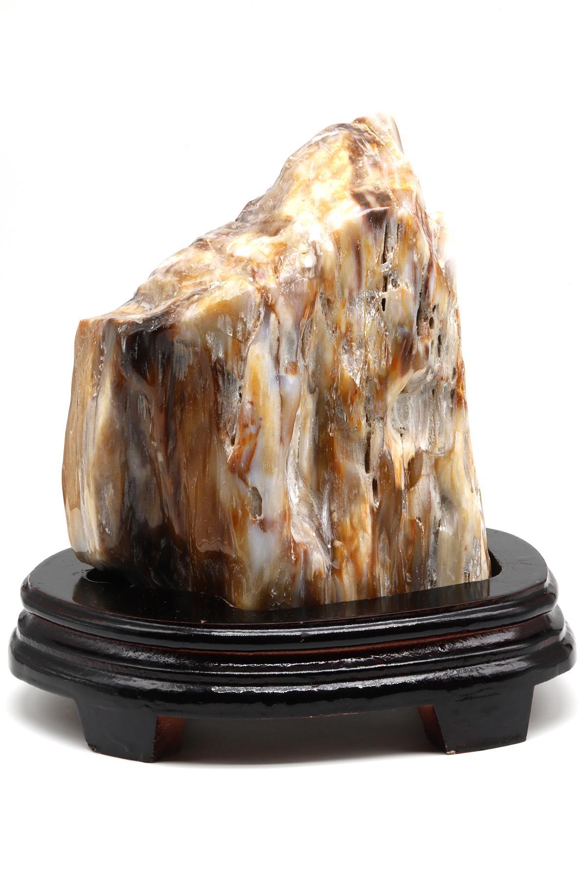 Ağaç Fosili Standlı Parça