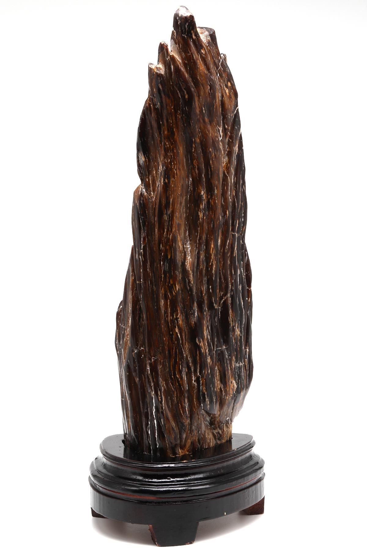 Ağaç Fosili Standlı Parça