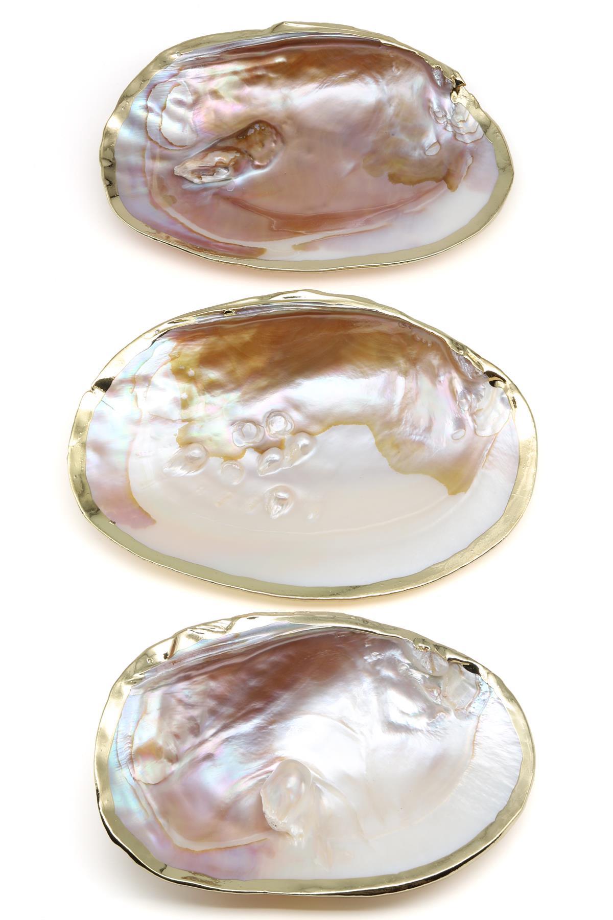 İstiridye Sedef Deniz Kabuğu - Kenarları Gold Kaplamalı