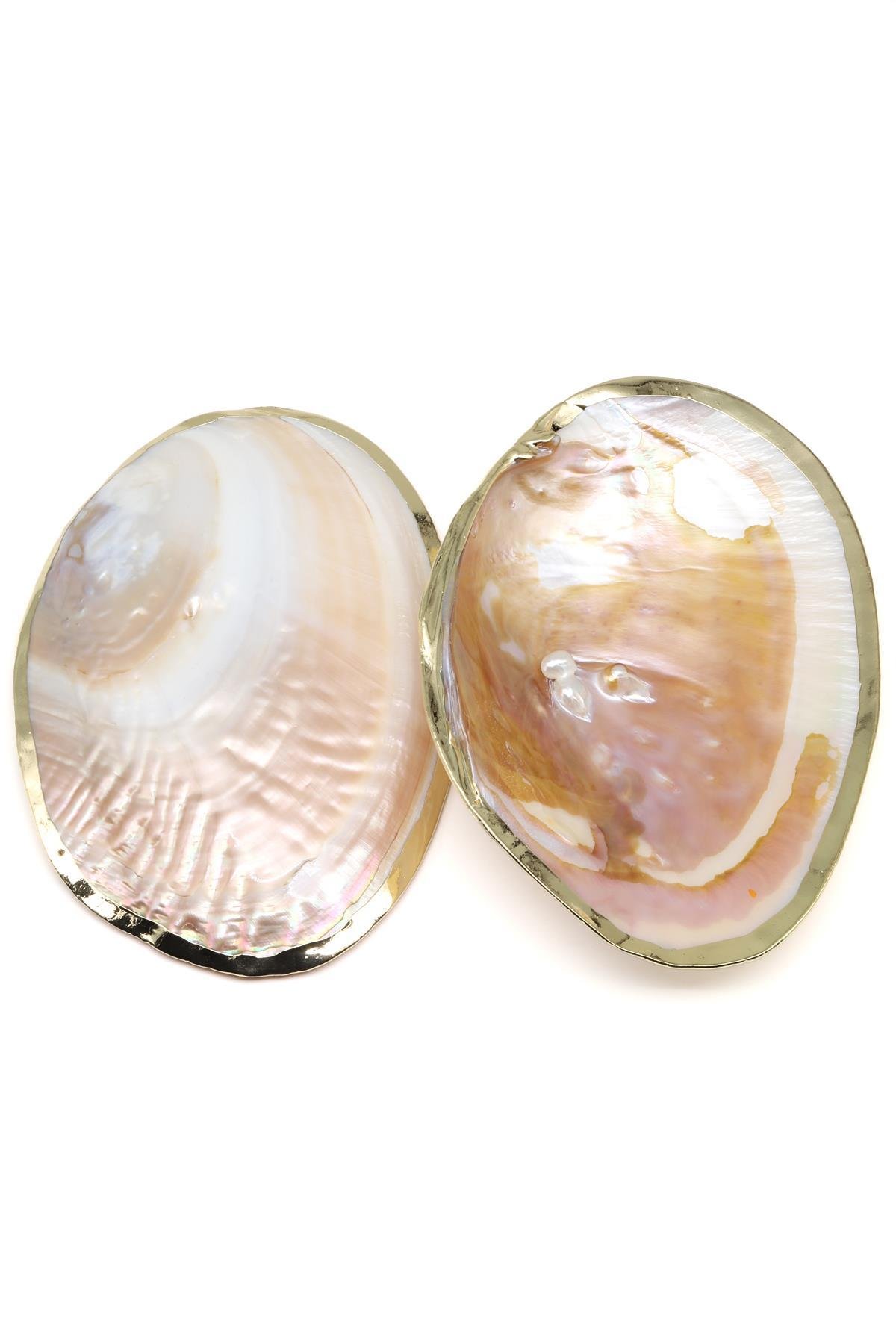 İstiridye Sedef Deniz Kabuğu - Kenarları Gold Kaplamalı