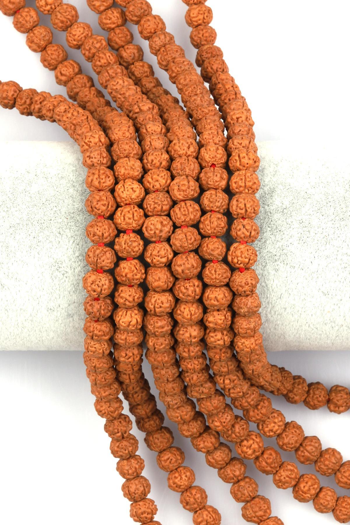 Rudraksha Tohumu Dizi 6 x 7 mm Rondel Kesim