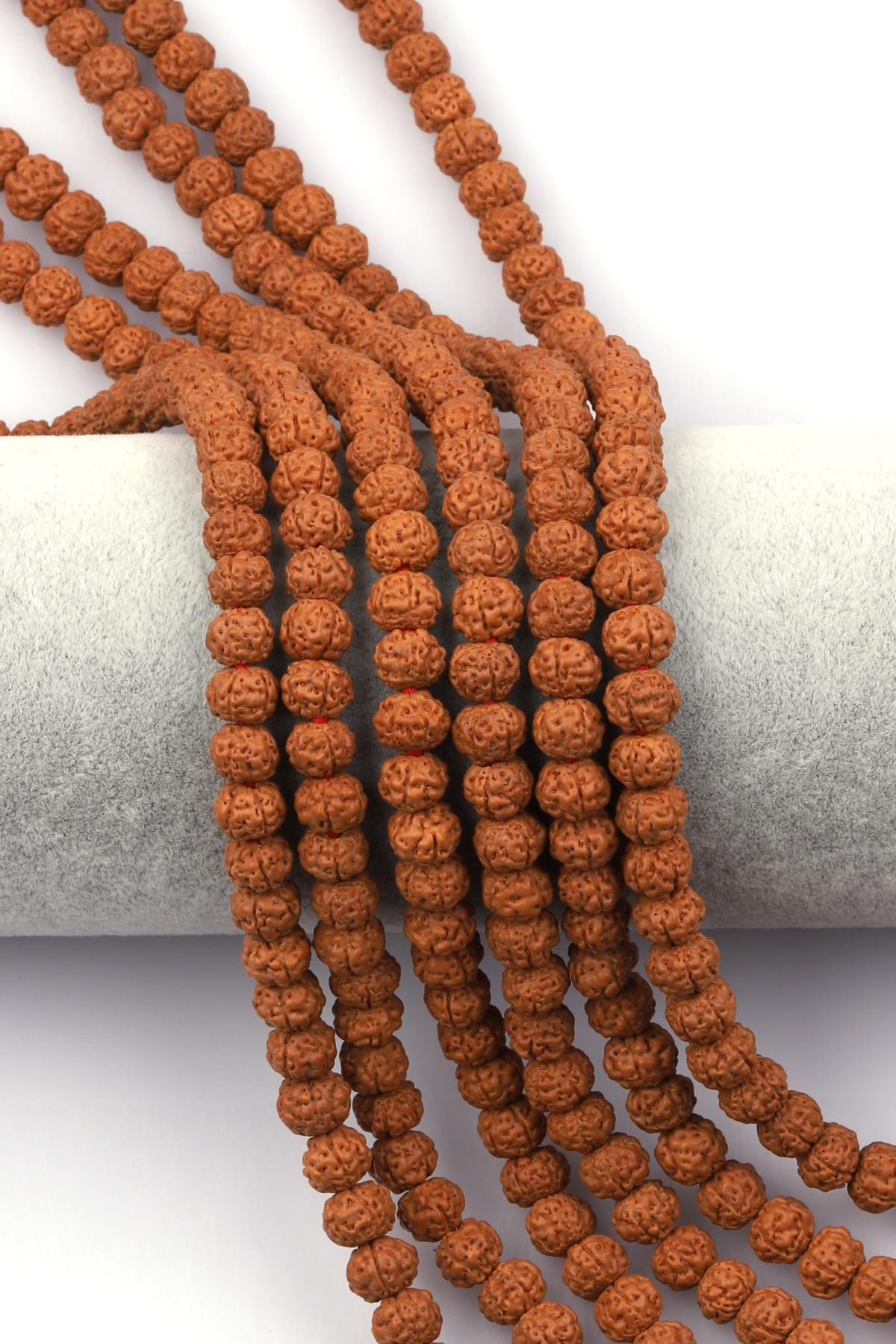 Rudraksha Tohumu Dizi 6 x 7 mm Rondel Kesim