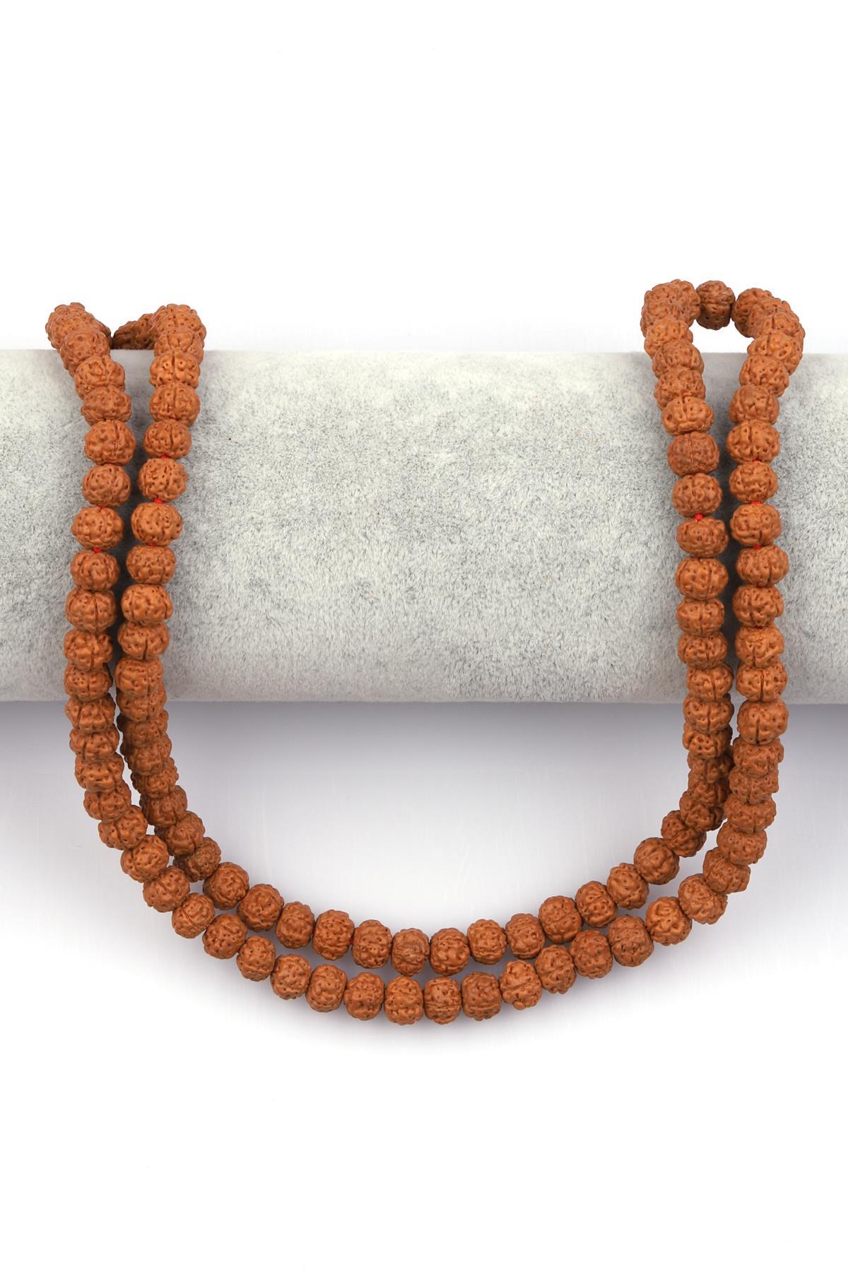 Rudraksha Tohumu Dizi 6 x 7 mm Rondel Kesim