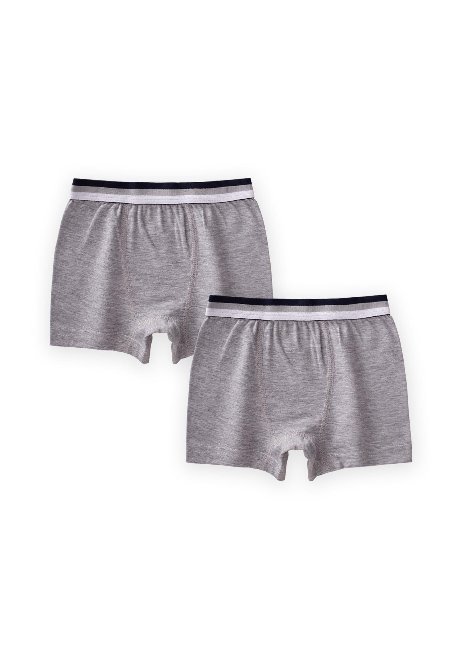 Cigitİkili Boxer 2-9 Yaş GRİ