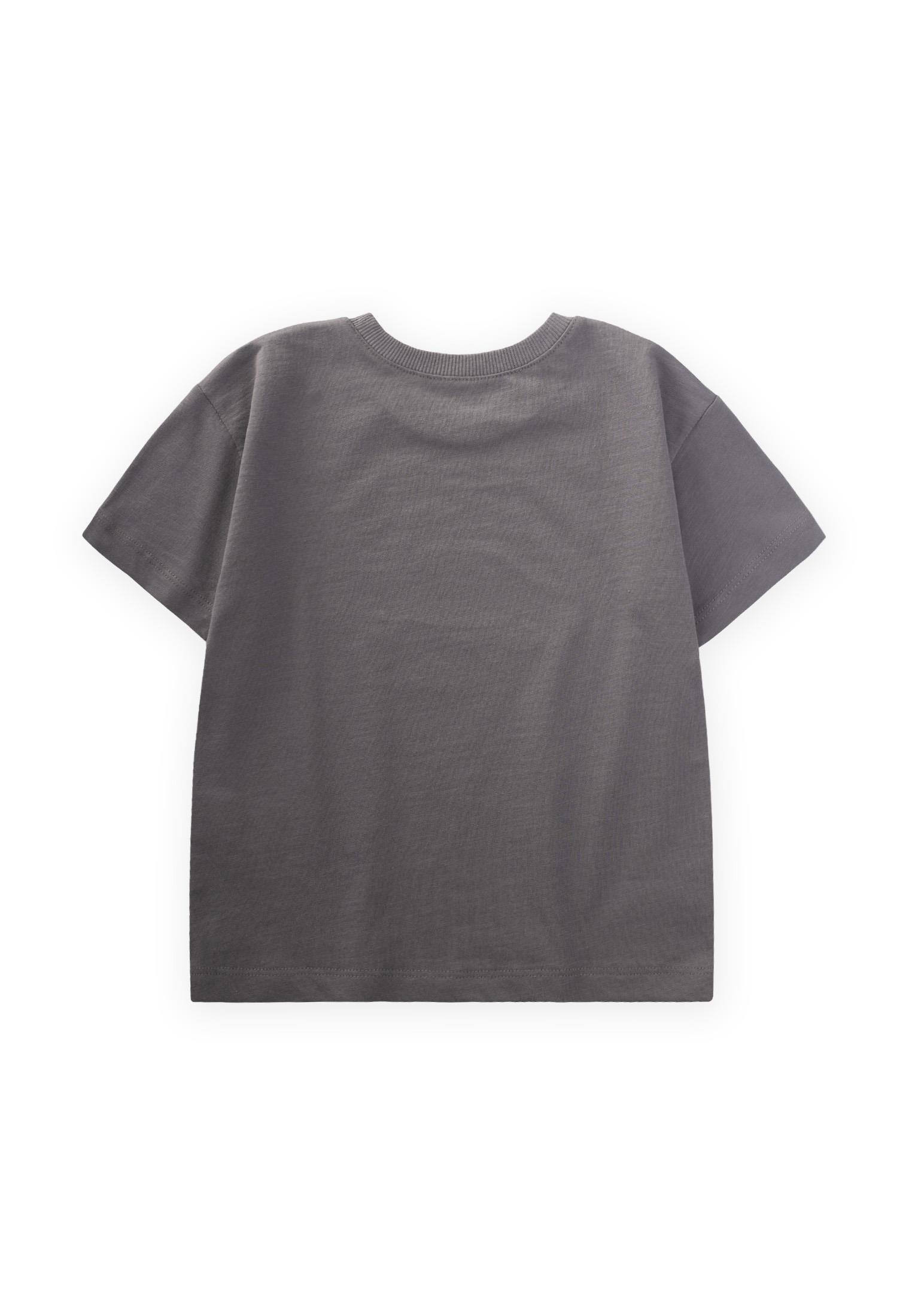 CigitPunto Araba Nakışlı T-Shırt 2-10 Yaş GRİ