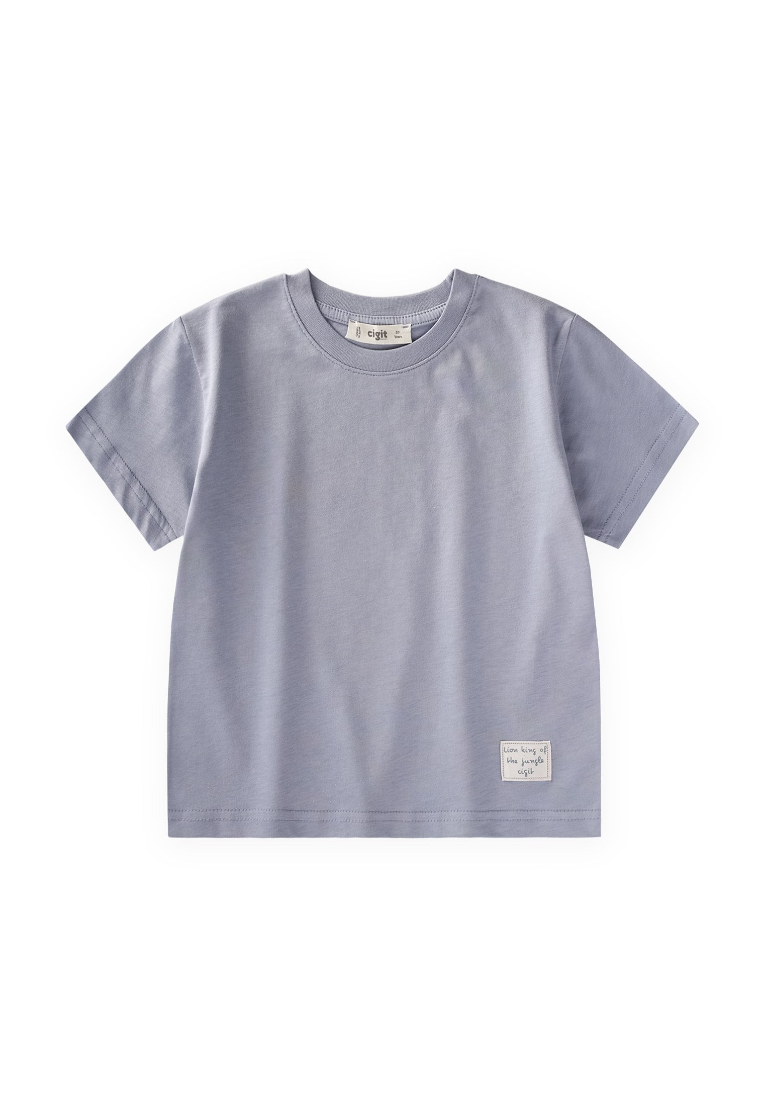 CigitEtiket Detaylı T-Shirt 2-10 Yaş MAVİ