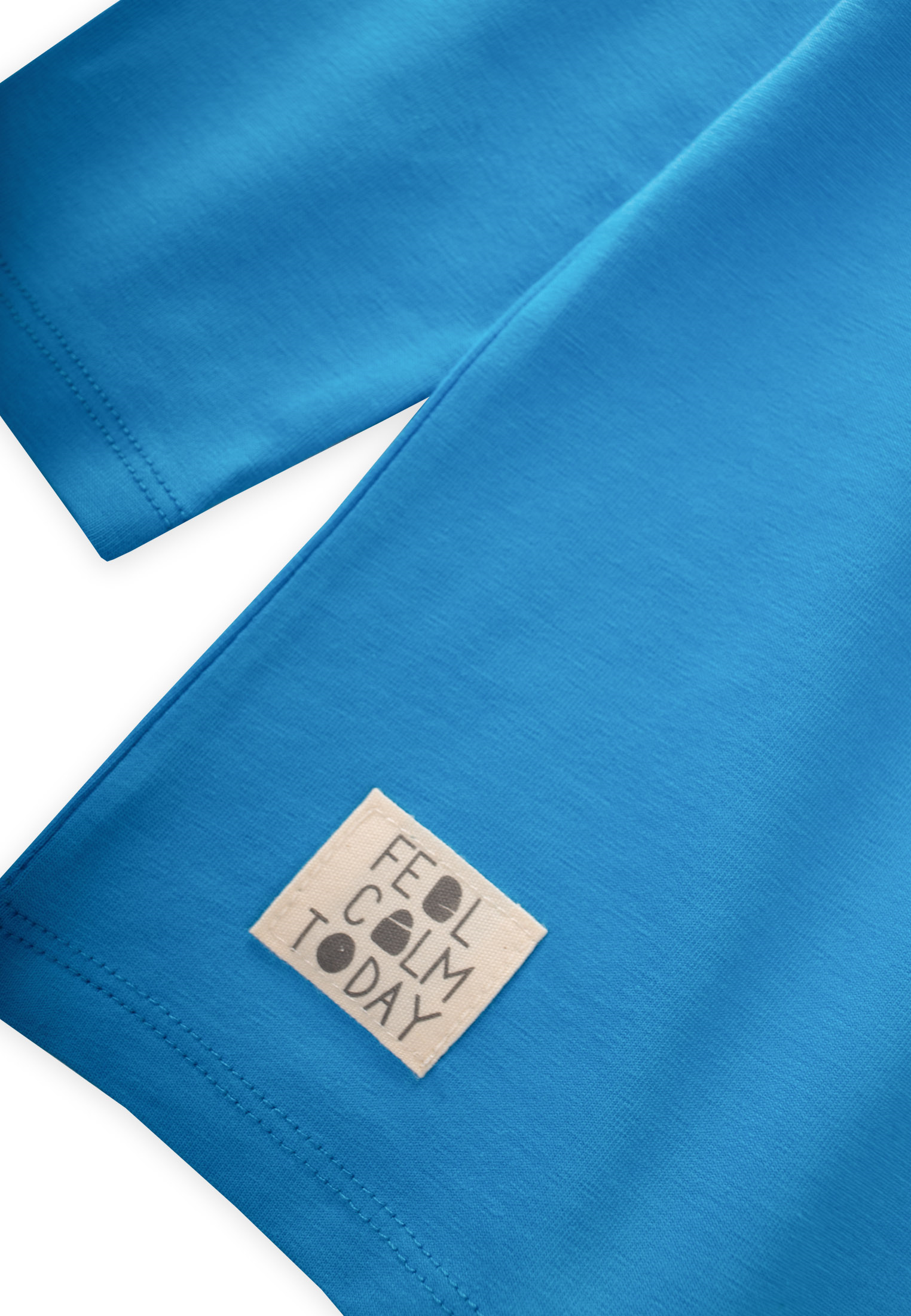 CigitEtiket Detaylı Mevsimlik T-Shırt 2-10 Yaş MAVİ