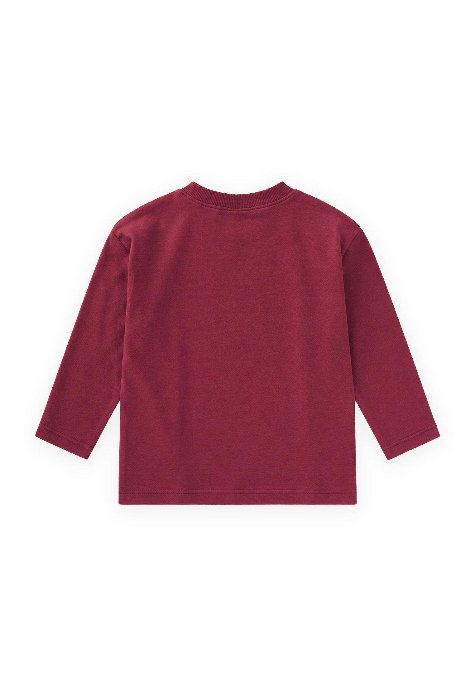 CigitSloganlı Uzun Kollu T-Shirt 2-10 Yaş BORDO