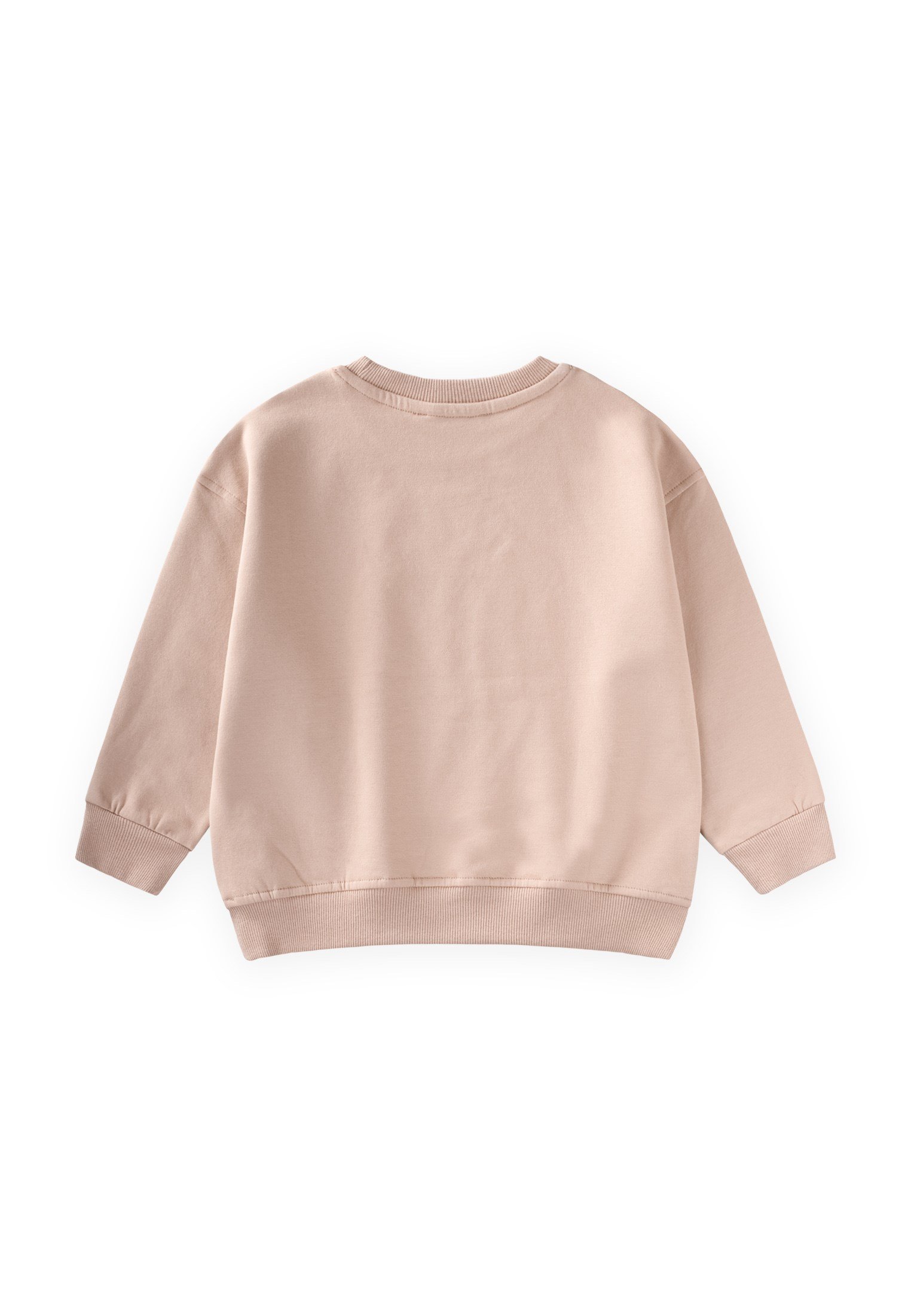 CigitDağ Baskılı Sweatshırt 3-9 Yaş BEJ