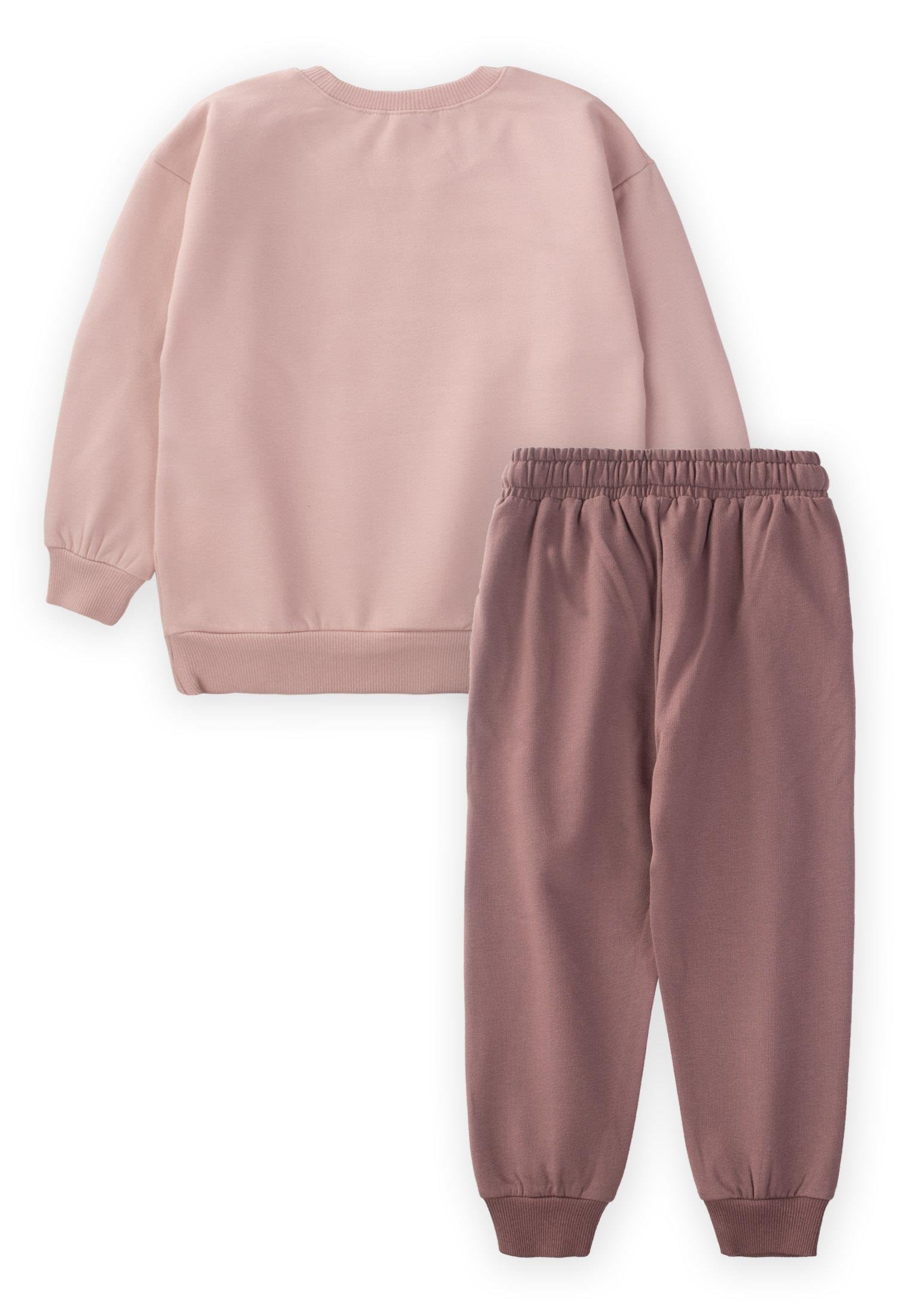 CigitKuş Baskılı Sweatshırt Kız Takım 2-10 Yaş PUDRA PEMBE