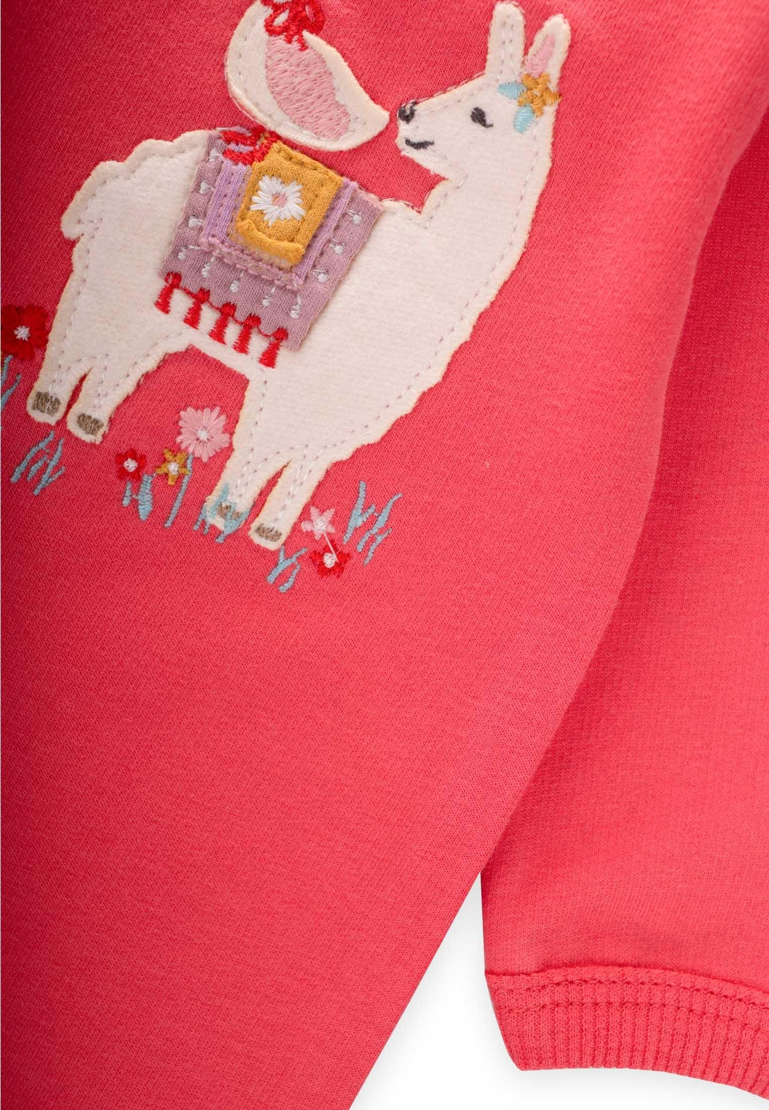 CigitTulum 0-3 Yaş MERCAN