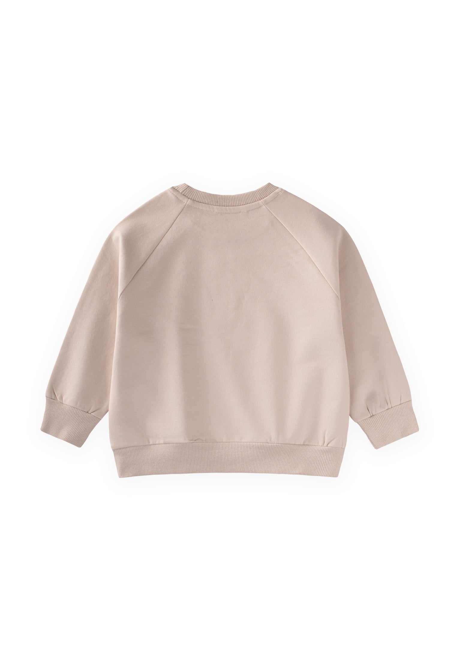 CigitAğaç Baskılı Sweatshirt 1-7 Yaş Kum