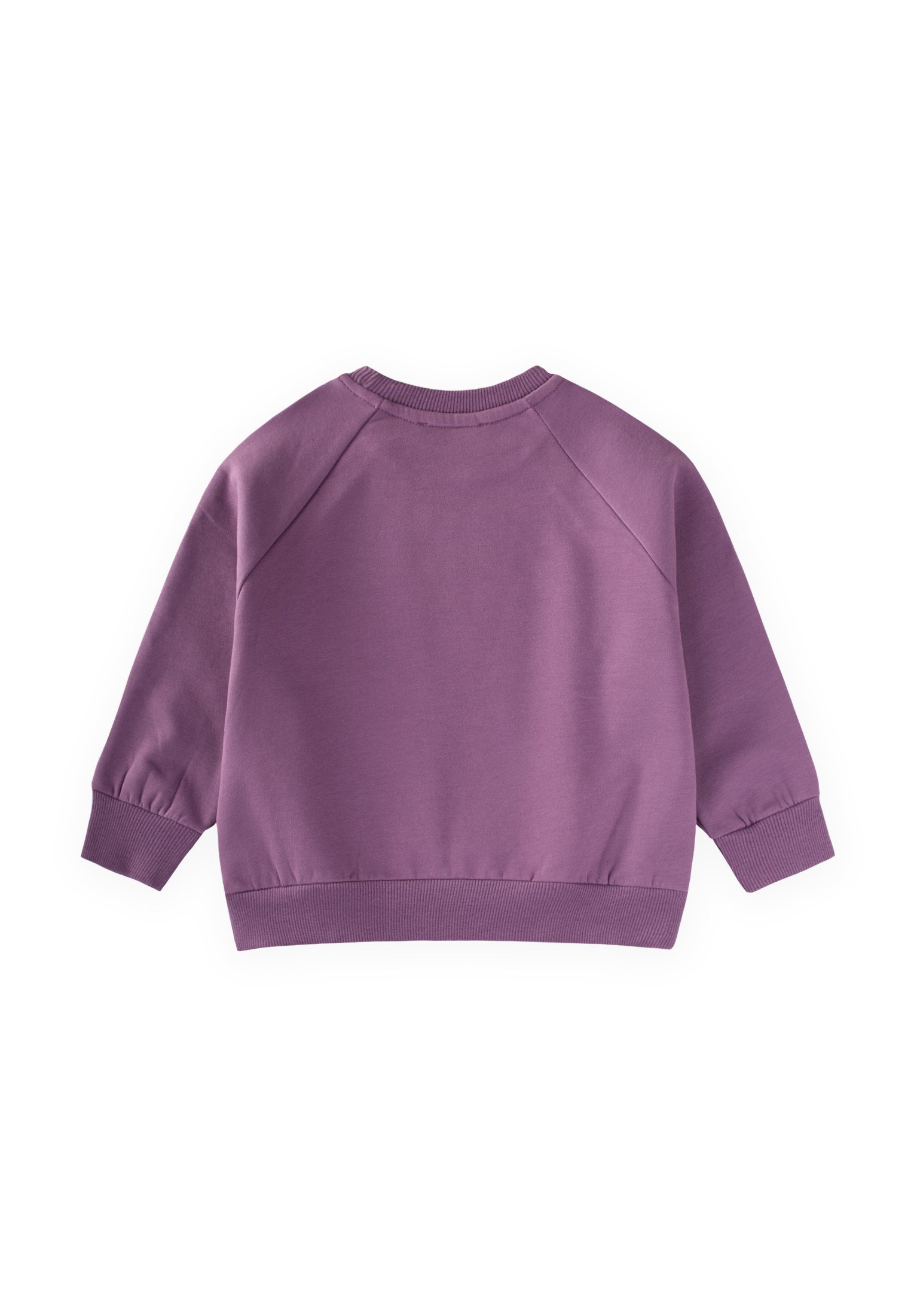 CigitAğaç Baskılı Sweatshirt 1-7 Yaş Mor