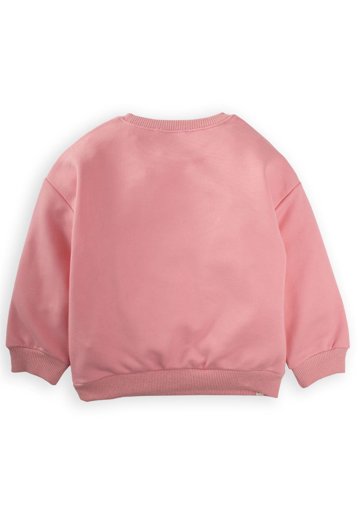 CigitBasic Sweatshirt 2-8 Yaş Somon