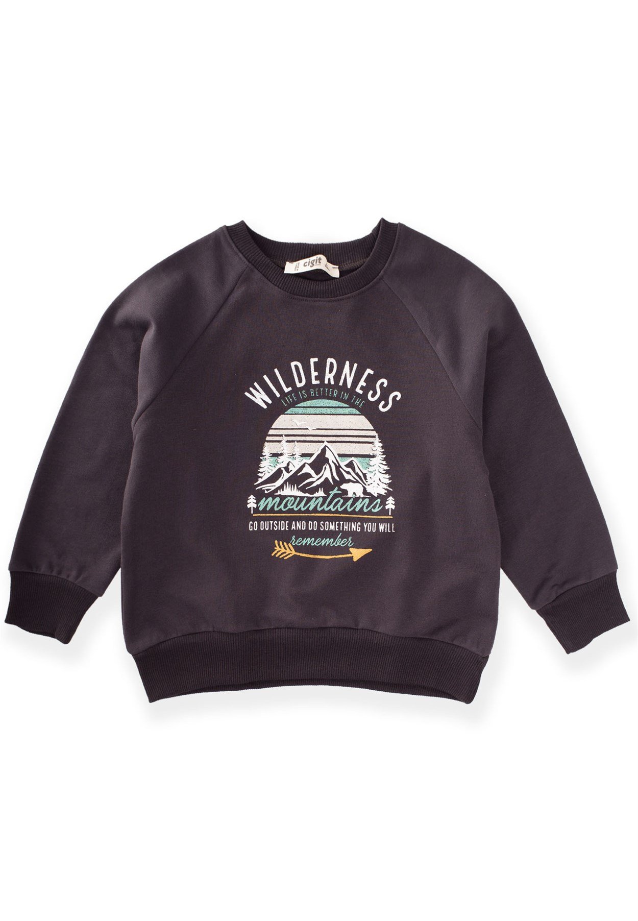 81015 - 5038Dağ Baskılı Sweatshirt 3-9 Yaş Antrasit - Fırsat ÜrünüCigitDağ Baskılı Sweatshirt 3-9 Yaş Antrasit
