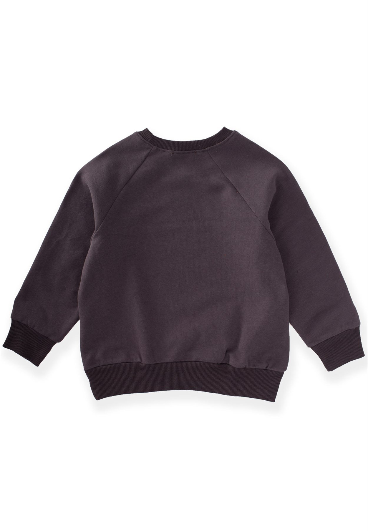 81015 - 5038Dağ Baskılı Sweatshirt 3-9 Yaş Antrasit - Fırsat ÜrünüCigitDağ Baskılı Sweatshirt 3-9 Yaş Antrasit