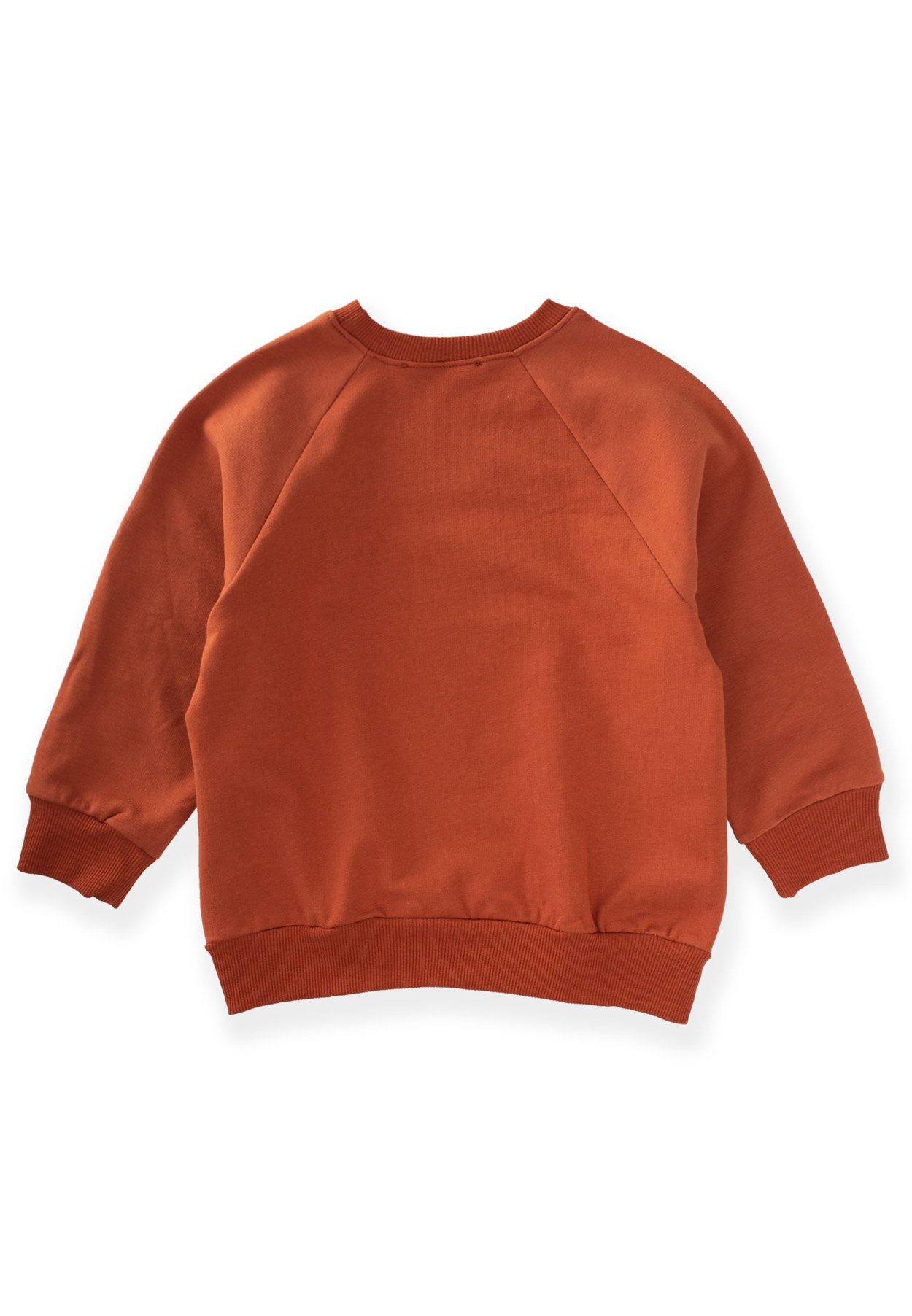 81015 - 5047Dağ Baskılı Sweatshirt 3-9 Yaş Koyu Kiremit - Fırsat ÜrünüCigitDağ Baskılı Sweatshirt 3-9 Yaş Koyu Kiremit