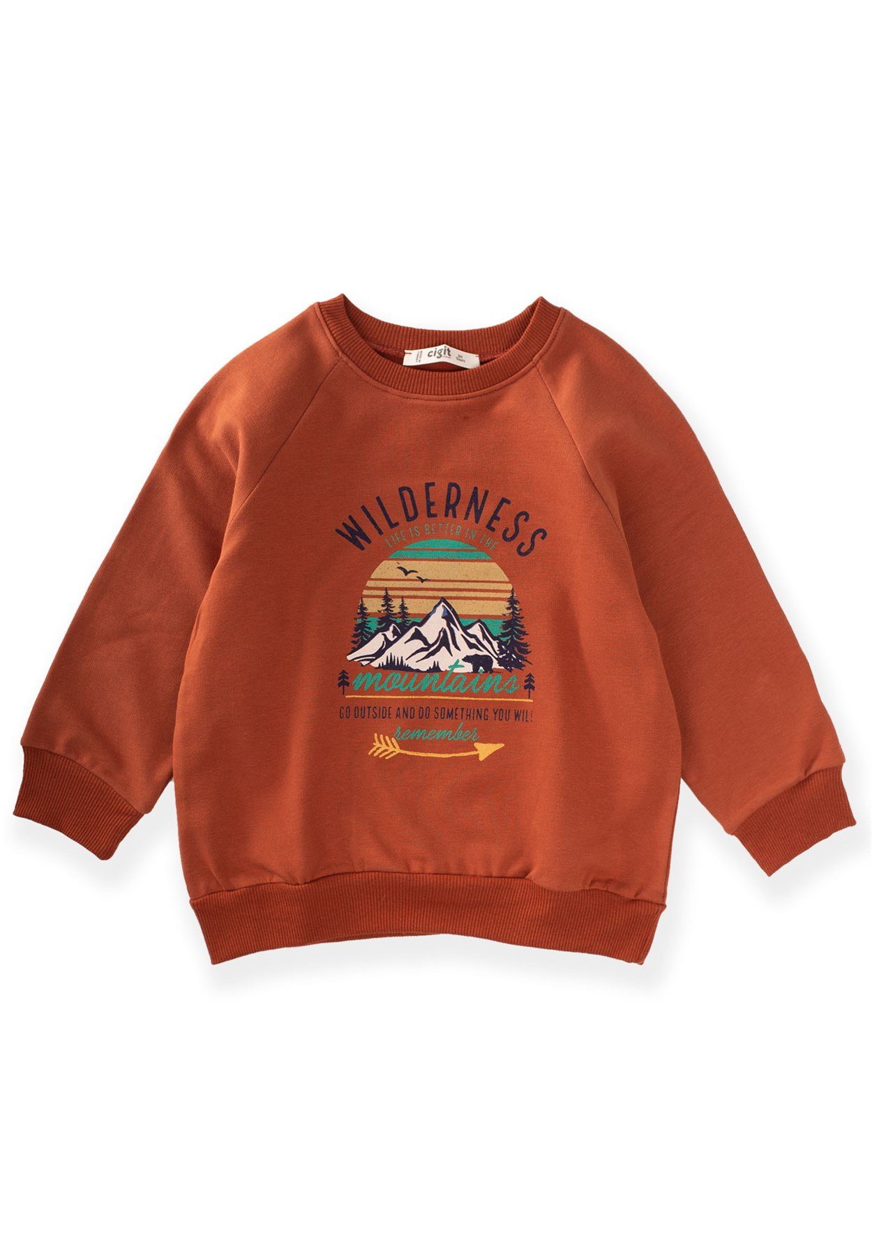 81015 - 5047Dağ Baskılı Sweatshirt 3-9 Yaş Koyu Kiremit - Fırsat ÜrünüCigitDağ Baskılı Sweatshirt 3-9 Yaş Koyu Kiremit