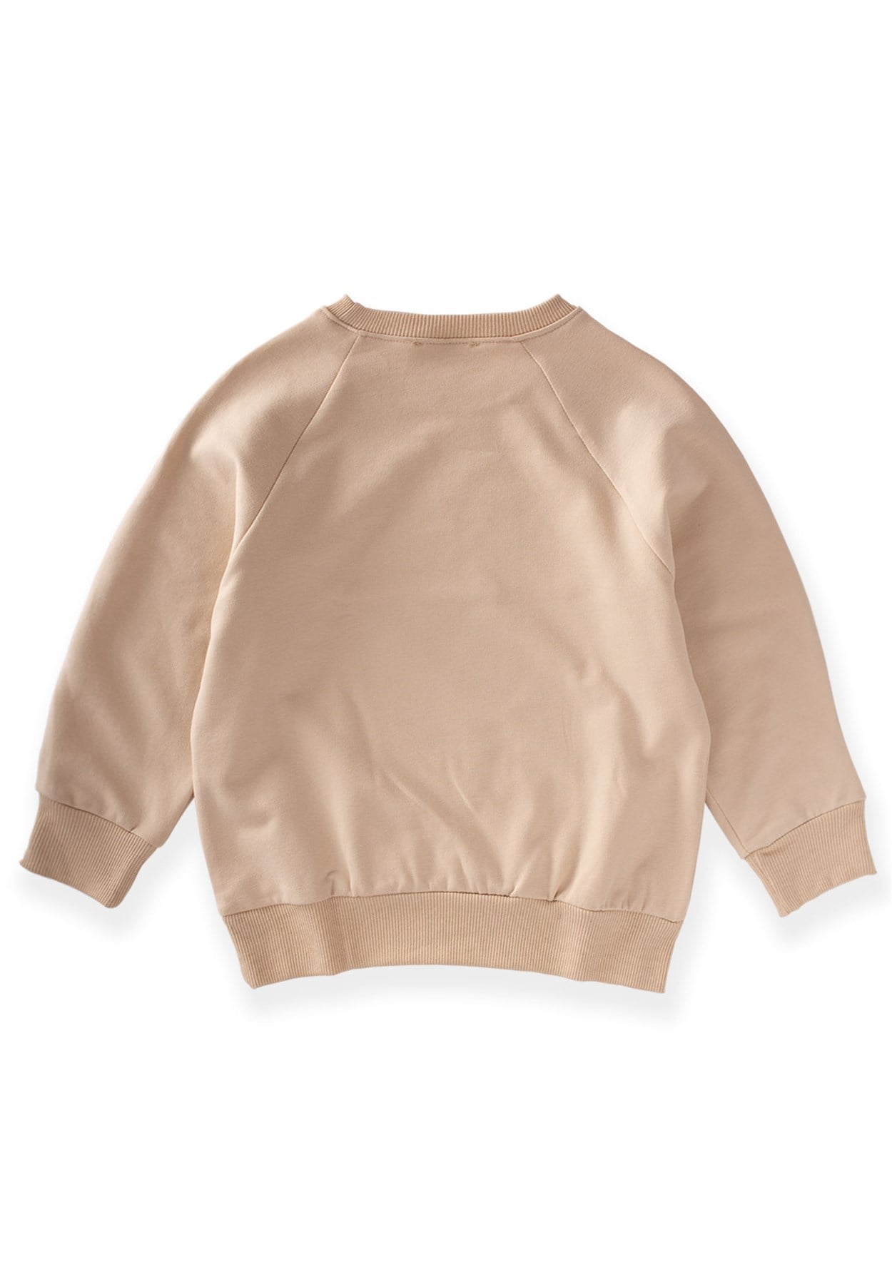 81015 - 5122Dağ Baskılı Sweatshirt 3-9 Yaş Kum - Fırsat ÜrünüCigitDağ Baskılı Sweatshirt 3-9 Yaş Kum
