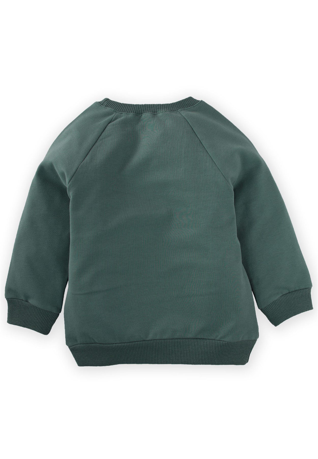 CigitKuş Baskılı Sweatshirt 2-8 Yaş Çağla Yeşili