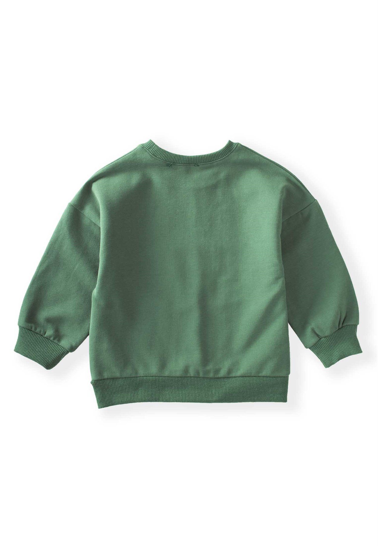 80995 - 5026Karavan Baskılı Sweatshirt 2-8 Yaş Haki Yeşil - Yeni SezonCigitKaravan Baskılı Sweatshirt 2-8 Yaş Haki Yeşil