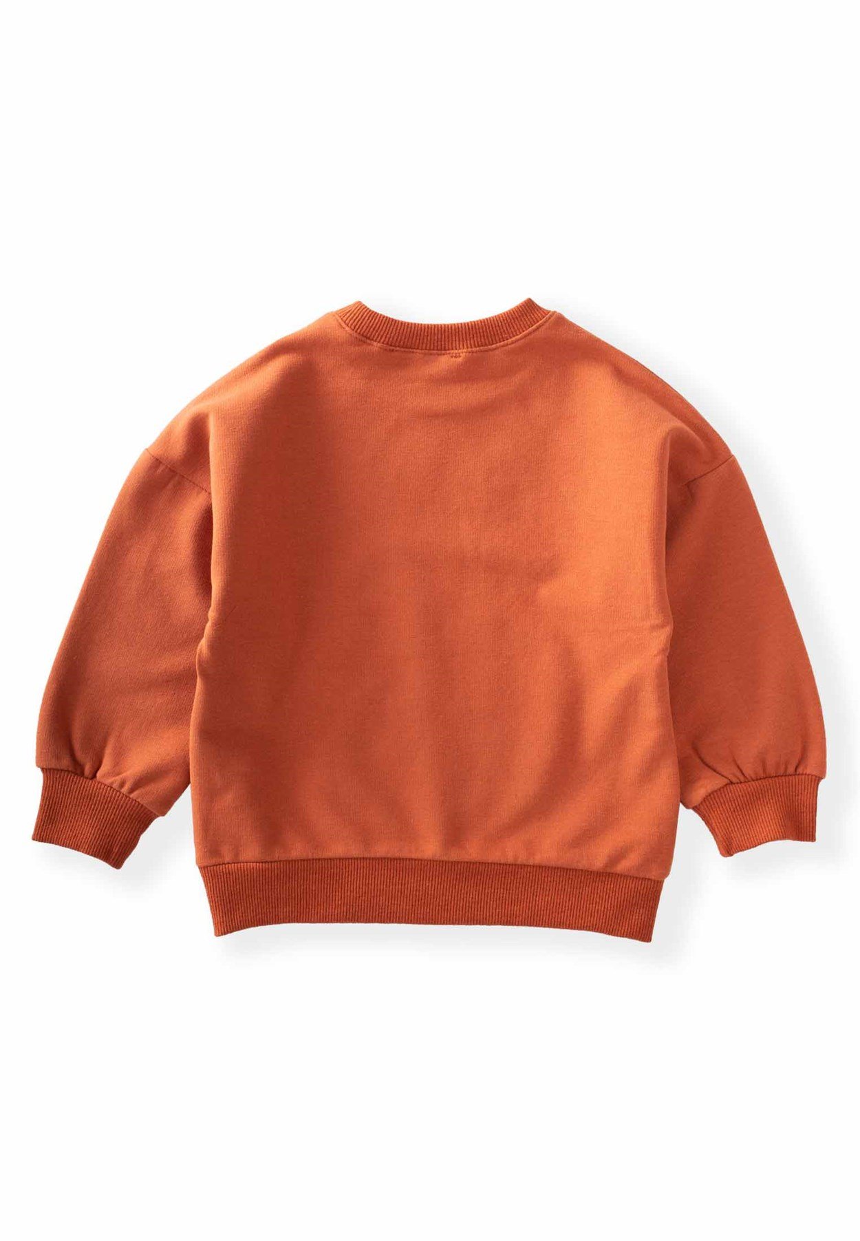 80995 - 5047Karavan Baskılı Sweatshirt 2-8 Yaş Koyu kiremit - Yeni SezonCigitKaravan Baskılı Sweatshirt 2-8 Yaş Koyu kiremit