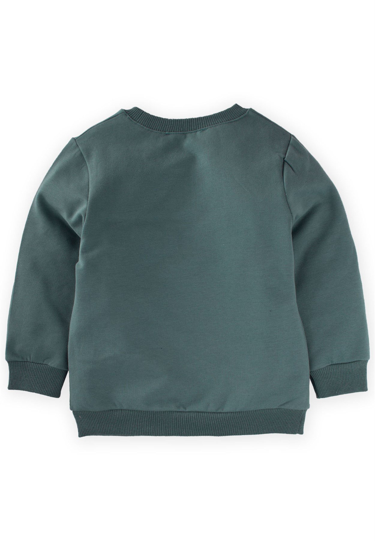 CigitLets Get Outsıde Baskılı Sweatshirt 2-7 Yaş Çağla Yeşili