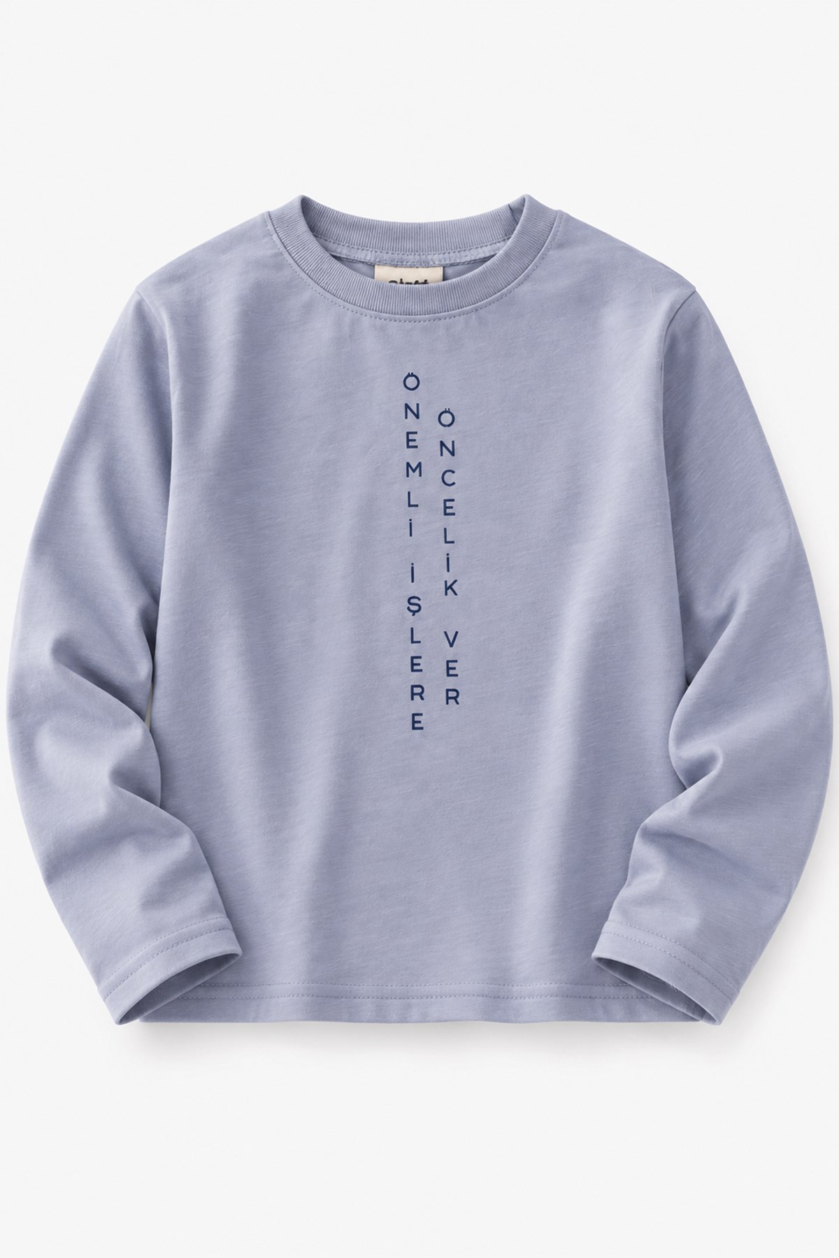 CigitSloganlı Uzun Kollu T-Shirt 2-10 Yaş Pastel Mavi