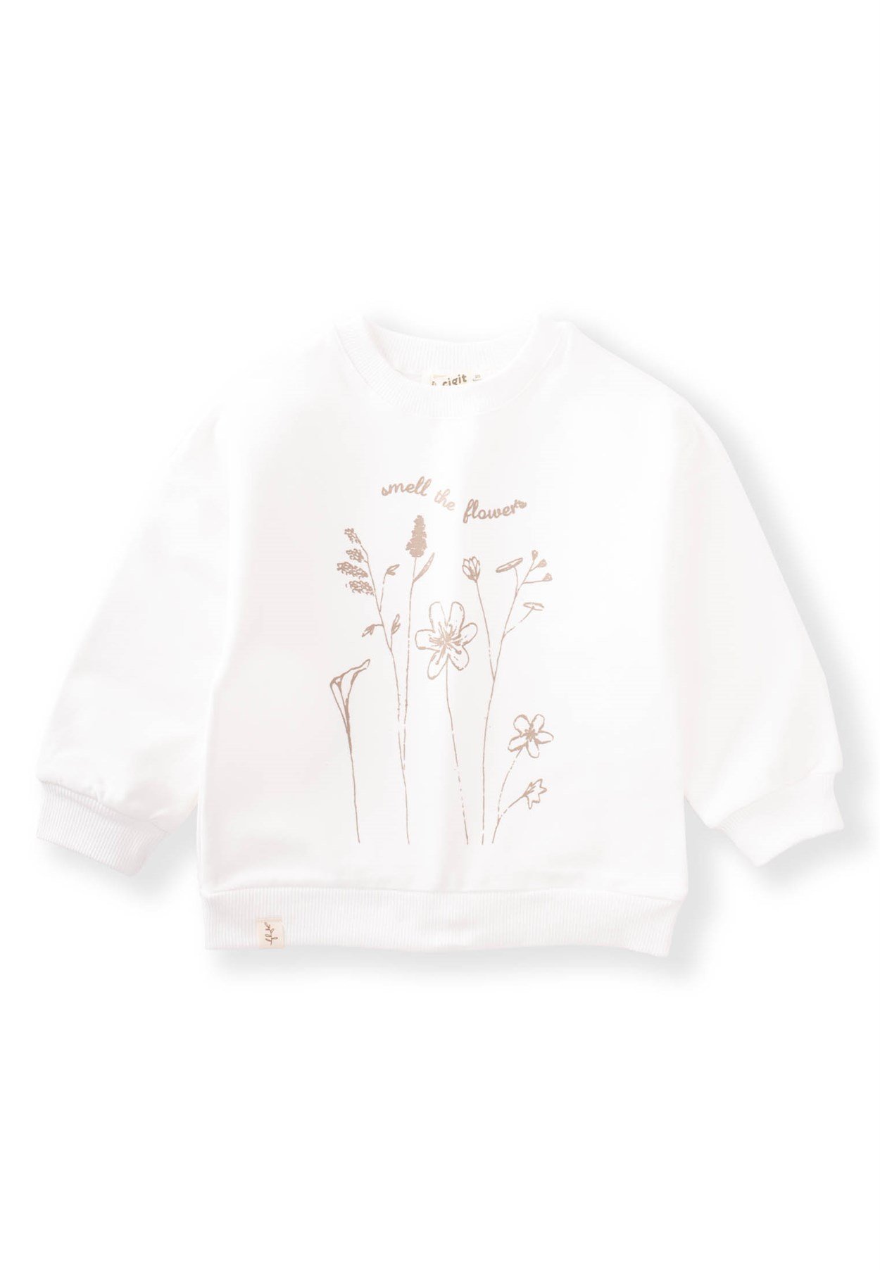 80997 - 5001Smell The Flowers Baskılı Sweatshirt 2-8 Yaş Ekru - Fırsat ÜrünüCigitSmell The Flowers Baskılı Sweatshirt 2-8 Yaş Ekru