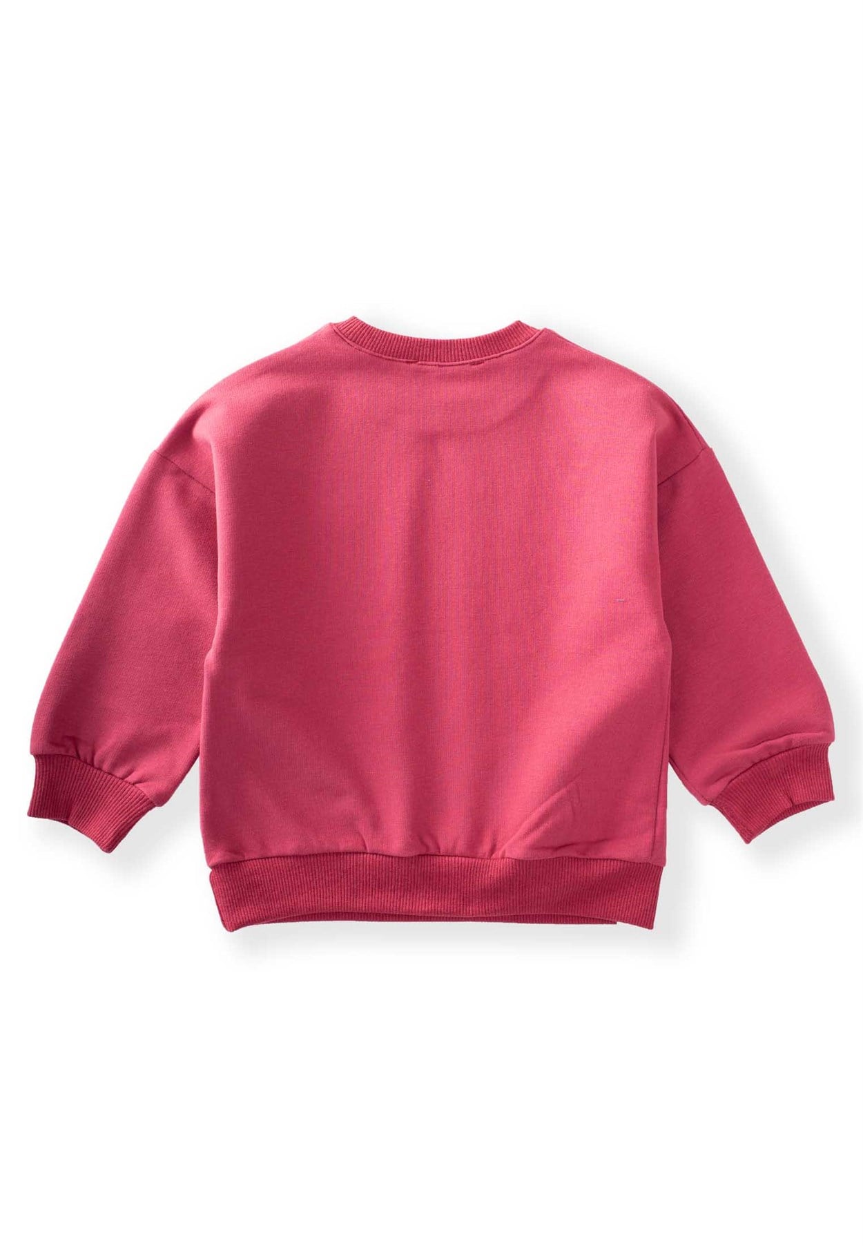 80997 - 5052Smell The Flowers Baskılı Sweatshirt 2-8 Yaş Bordo - Fırsat ÜrünüCigitSmell The Flowers Baskılı Sweatshirt 2-8 Yaş Bordo