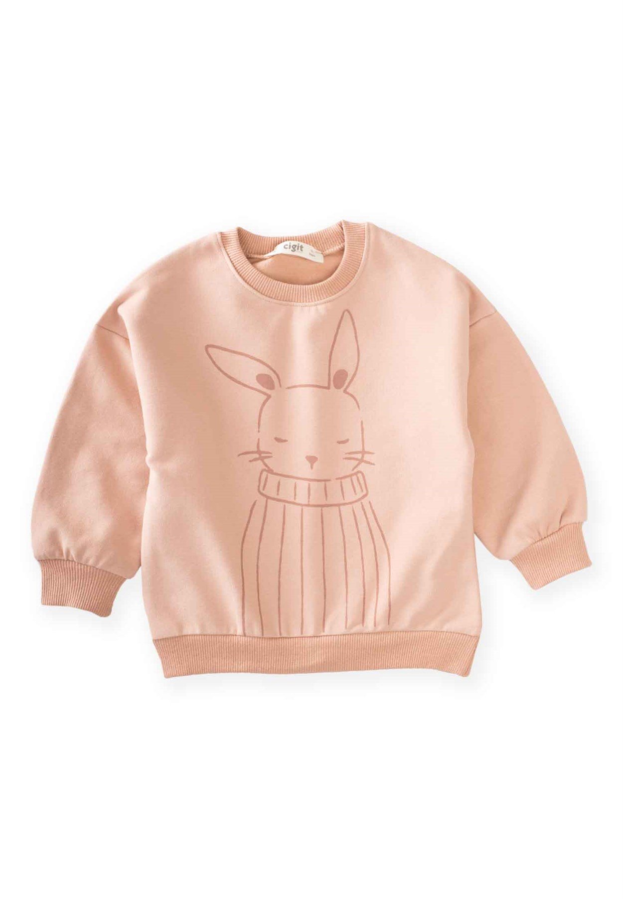80998 - 5057Tavşan Baskılı Sweatshirt 2-8 Yaş Pembe - Yeni SezonCigitTavşan Baskılı Sweatshirt 2-8 Yaş Pembe