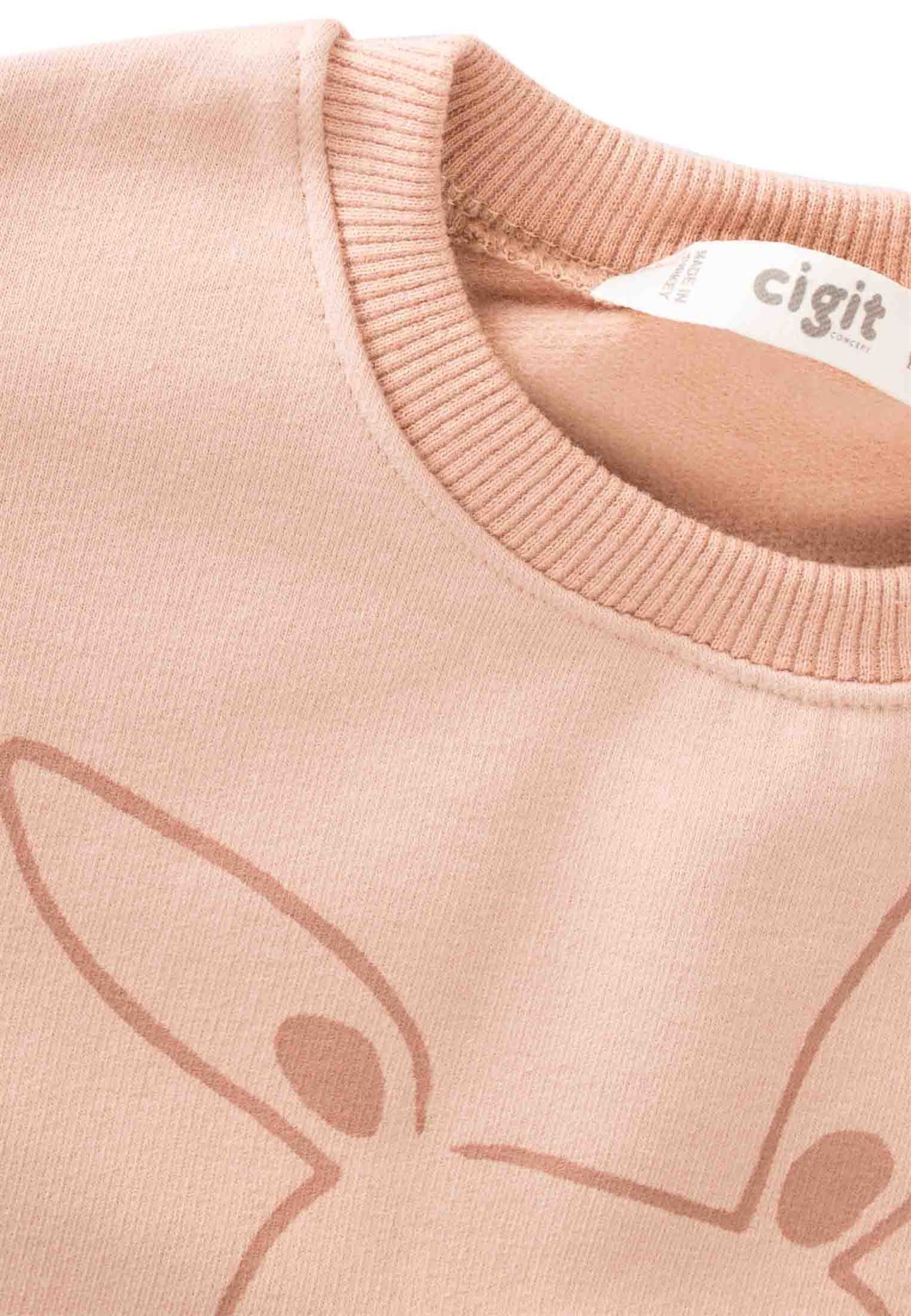 80998 - 5057Tavşan Baskılı Sweatshirt 2-8 Yaş Pembe - Yeni SezonCigitTavşan Baskılı Sweatshirt 2-8 Yaş Pembe