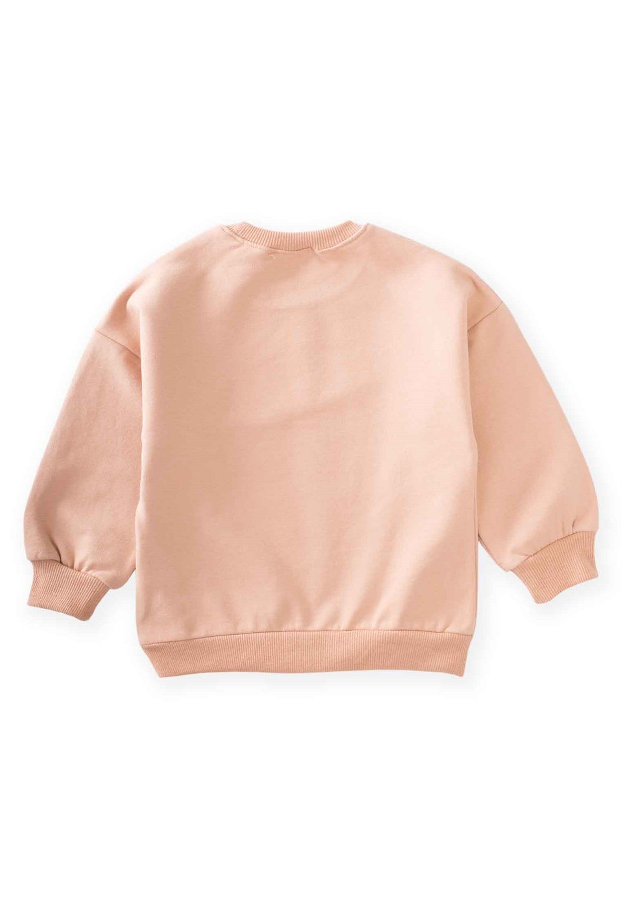 80998 - 5057Tavşan Baskılı Sweatshirt 2-8 Yaş Pembe - Yeni SezonCigitTavşan Baskılı Sweatshirt 2-8 Yaş Pembe