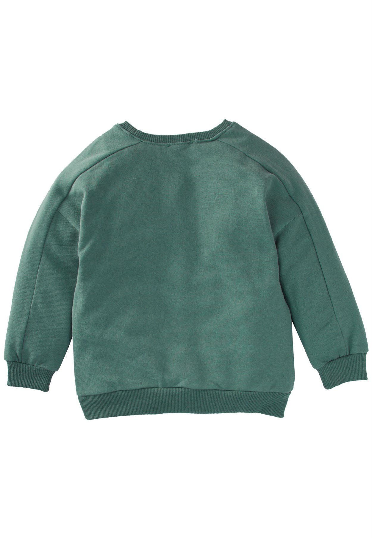 81021 - 5003Yaprak Baskılı Kolu Parçalı Swatshirt 3-9 Yaş Çağla Yeşili - Yeni SezonCigitYaprak Baskılı Kolu Parçalı Swatshirt 3-9 Yaş Çağla Yeşili