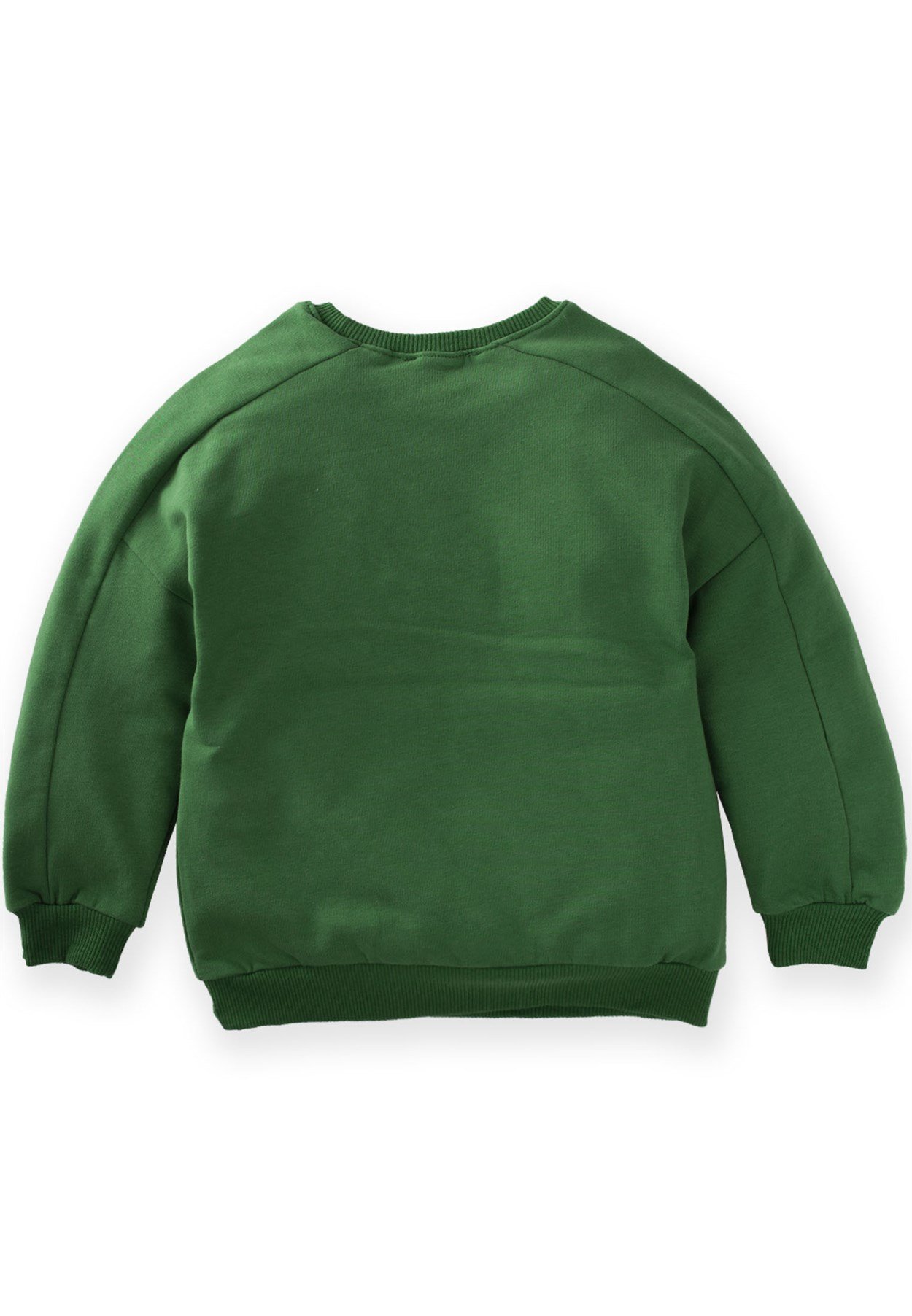 81021 - 5053Yaprak Baskılı Kolu Parçalı Swatshirt 3-9 Yaş Yağ Yeşili - Yeni SezonCigitYaprak Baskılı Kolu Parçalı Swatshirt 3-9 Yaş Yağ Yeşili
