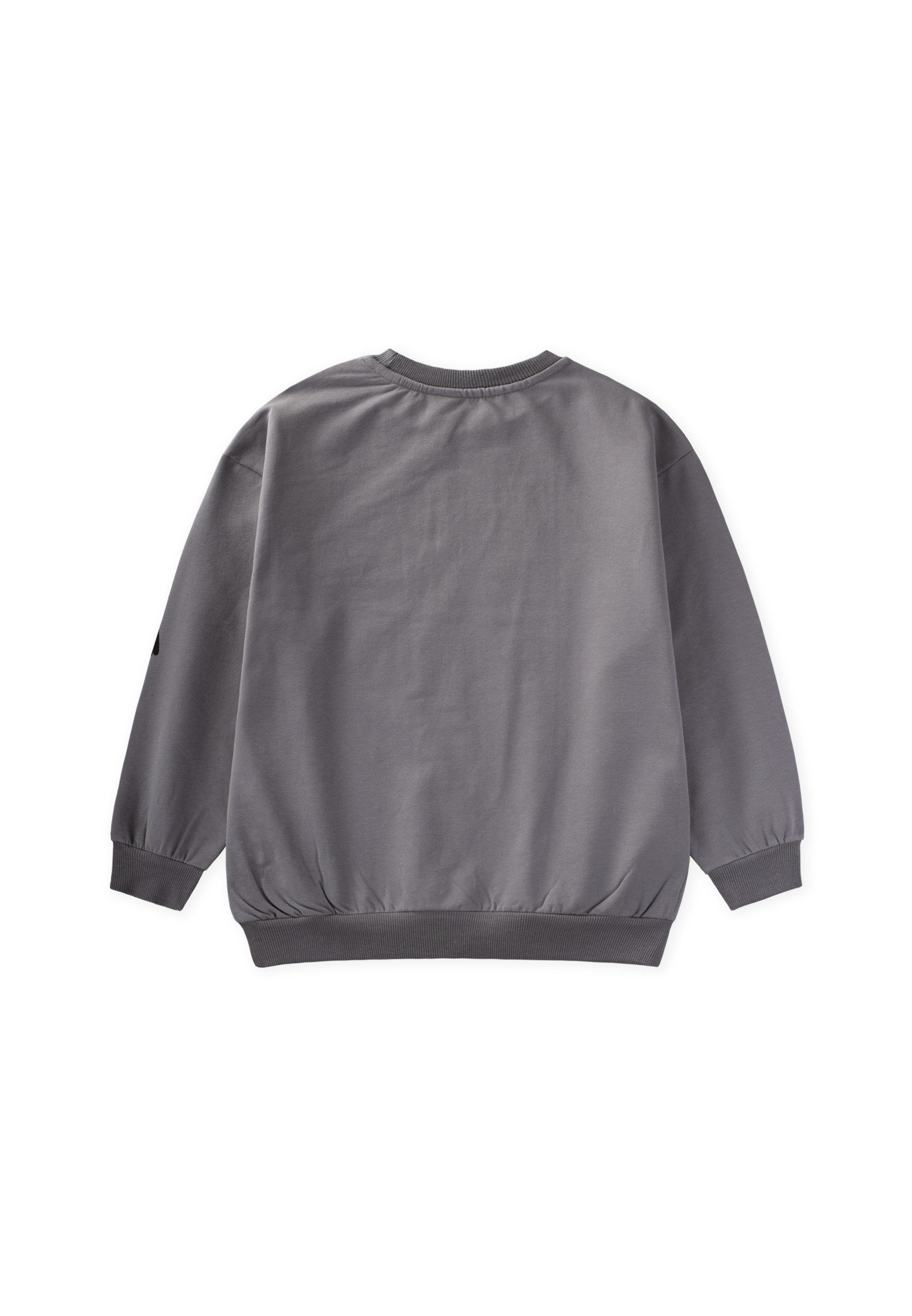 CigitBaskılı Erkek Çocuk Kışlık Sweatshirt 8-12 Yaş Gri