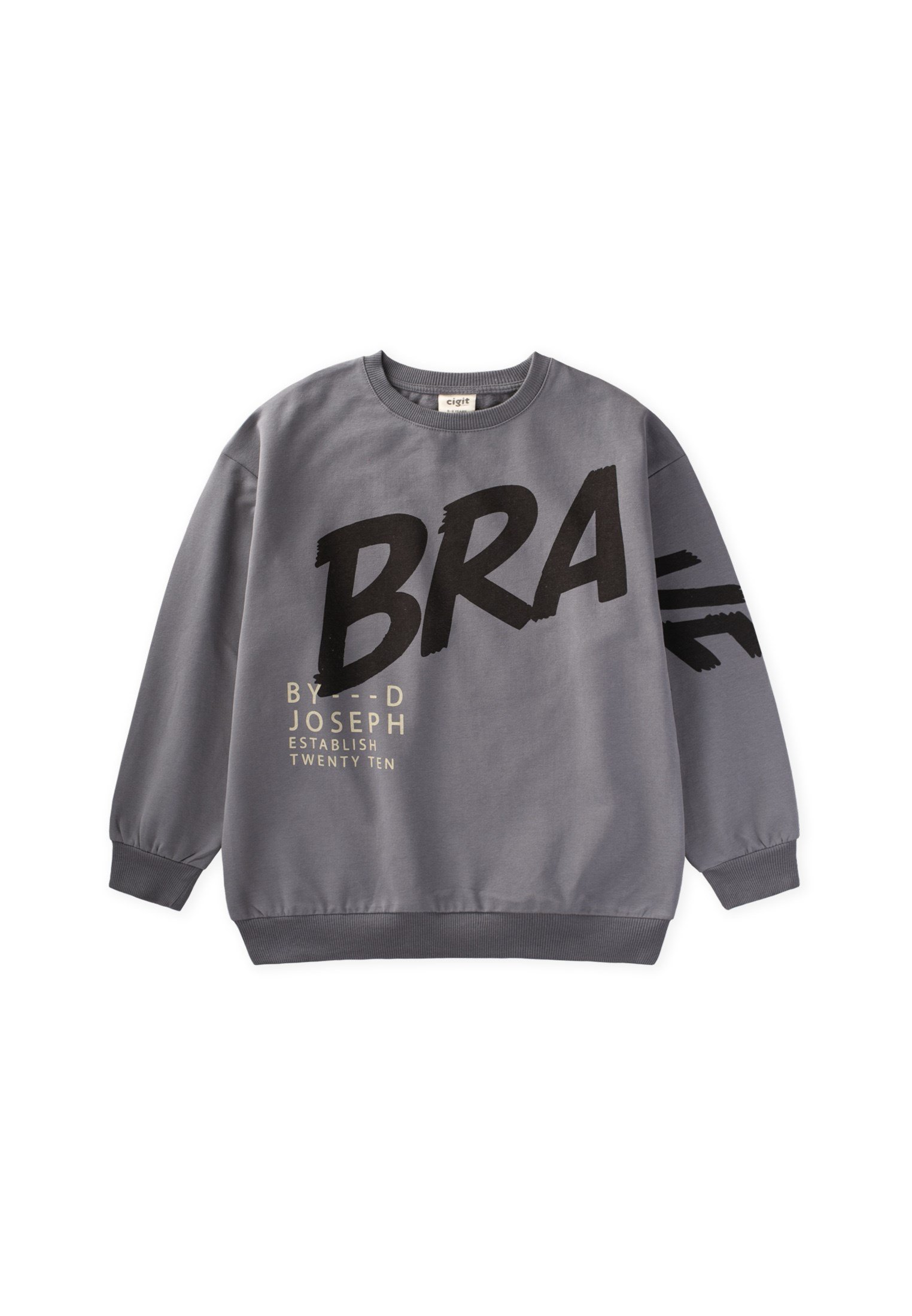 CigitBaskılı Erkek Çocuk Kışlık Sweatshirt 8-12 Yaş Gri