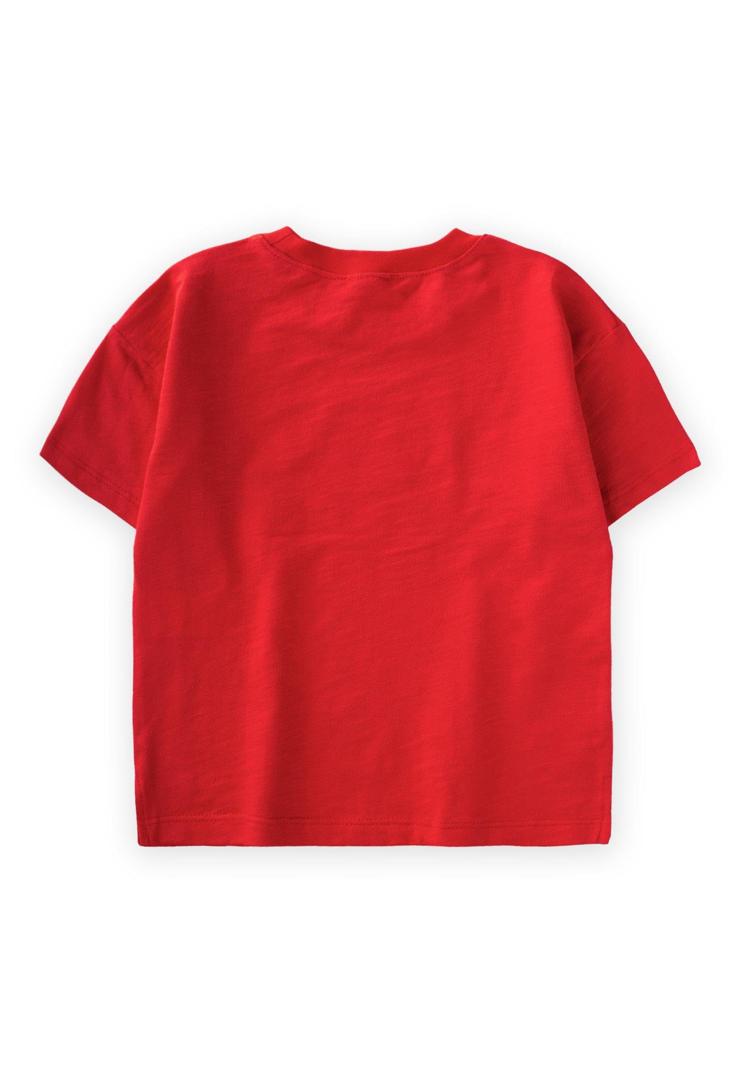 CigitYırtmaç Detaylı Etiketli T-Shirt 2-10 Yaş Kırmızı