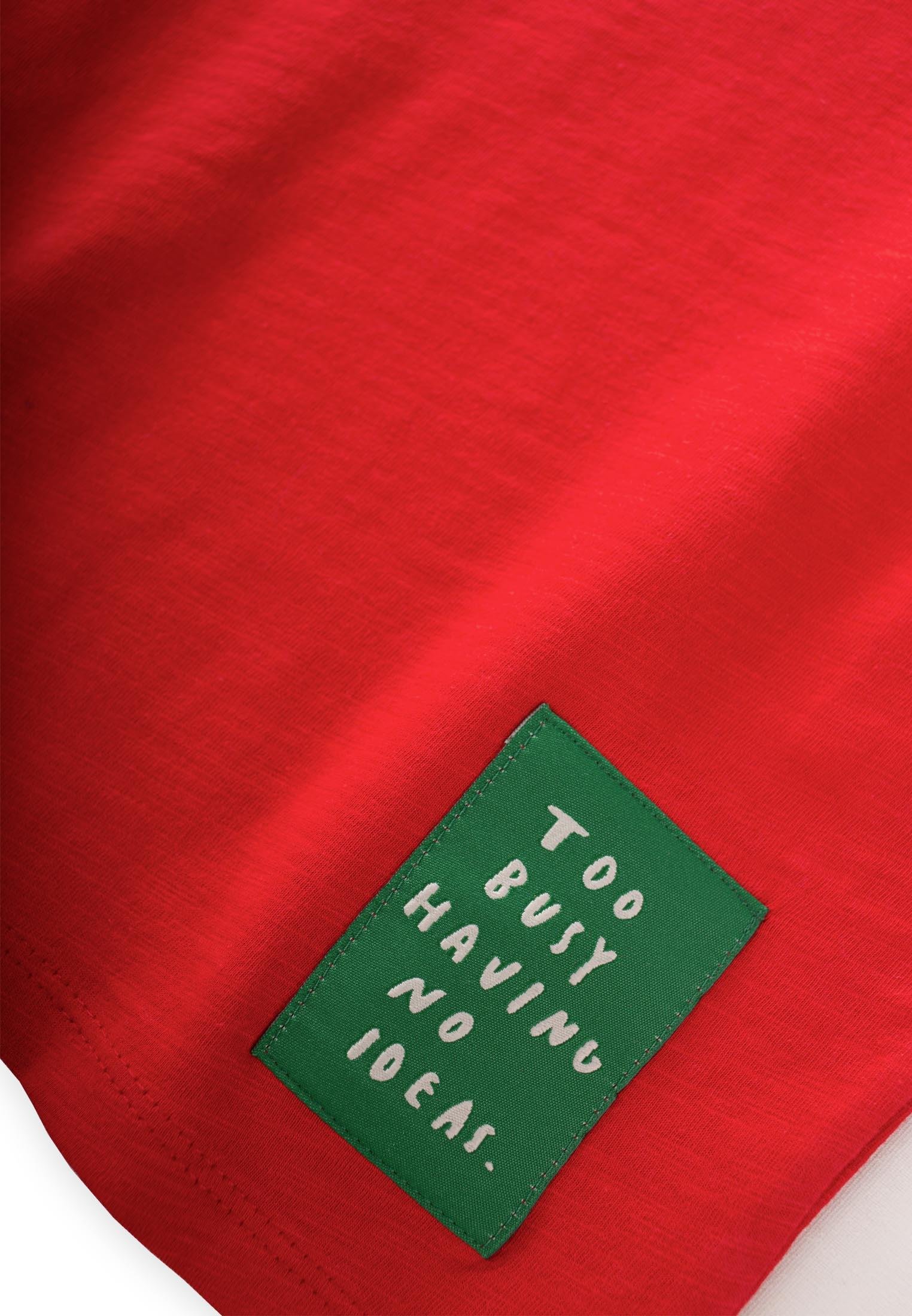 CigitYırtmaç Detaylı Etiketli T-Shirt 2-10 Yaş Kırmızı