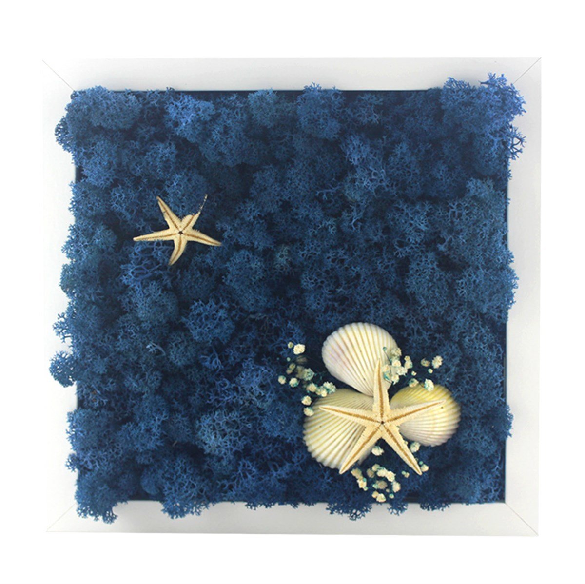 Solmayan Yosun Tablo Ocean