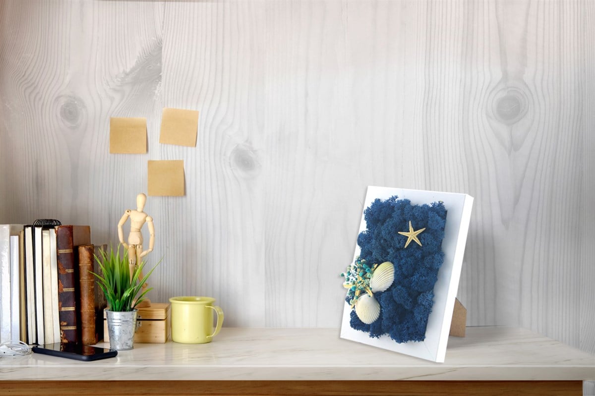 Solmayan Yosun Tablo Starfish Moss
