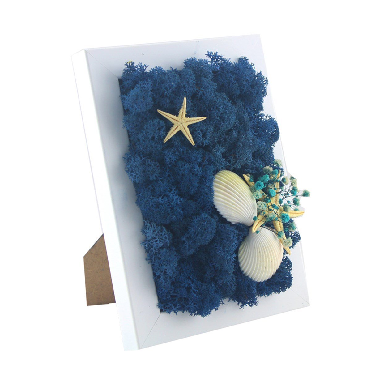 Solmayan Yosun Tablo Starfish Moss