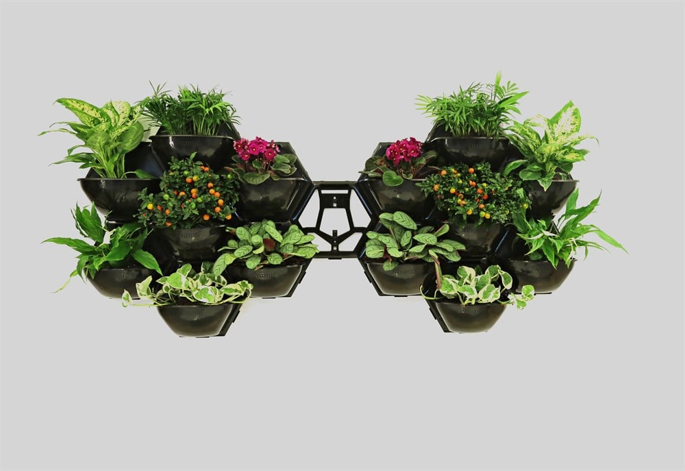 Yaşam Çiçeği Duvar Saksı Kiti