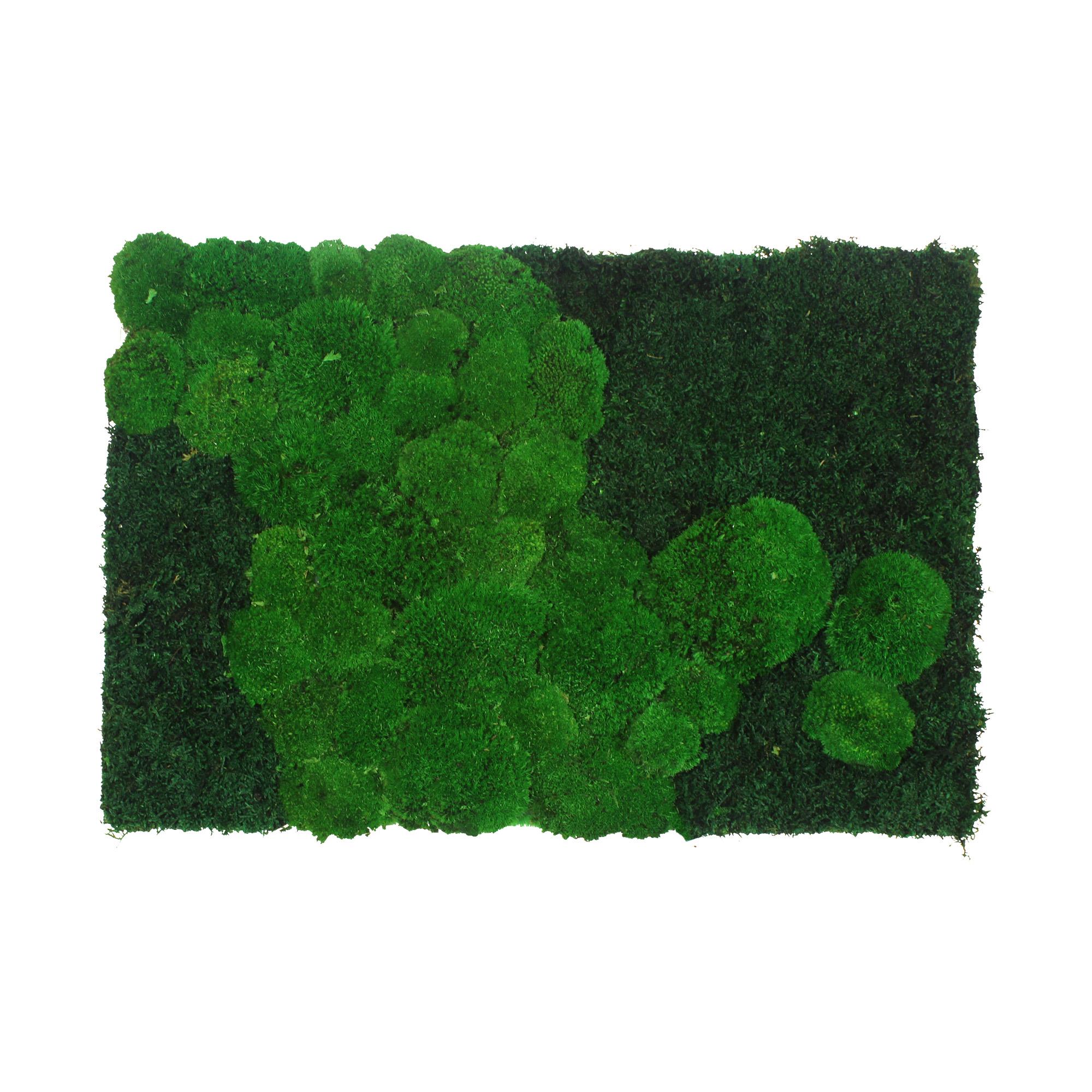 Yosun Panel Y5