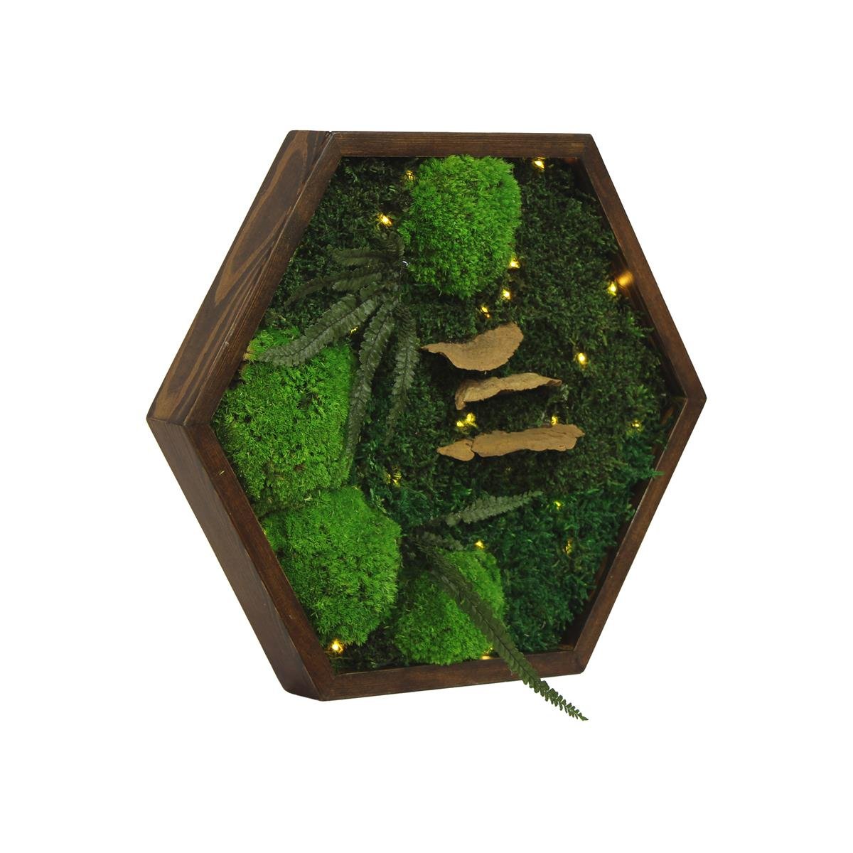 Yosun Tablo Forest Brown A1