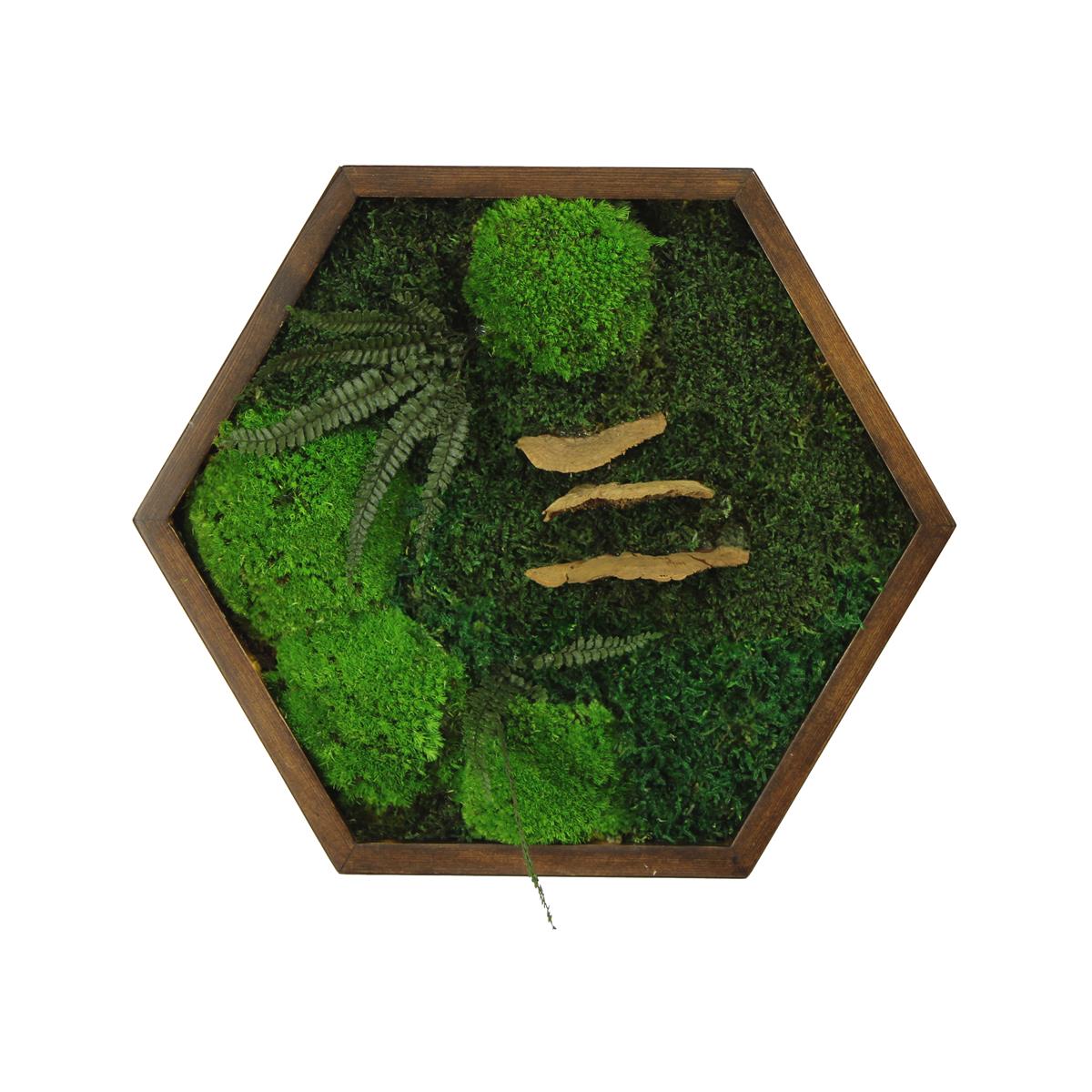 Yosun Tablo Forest Brown A1